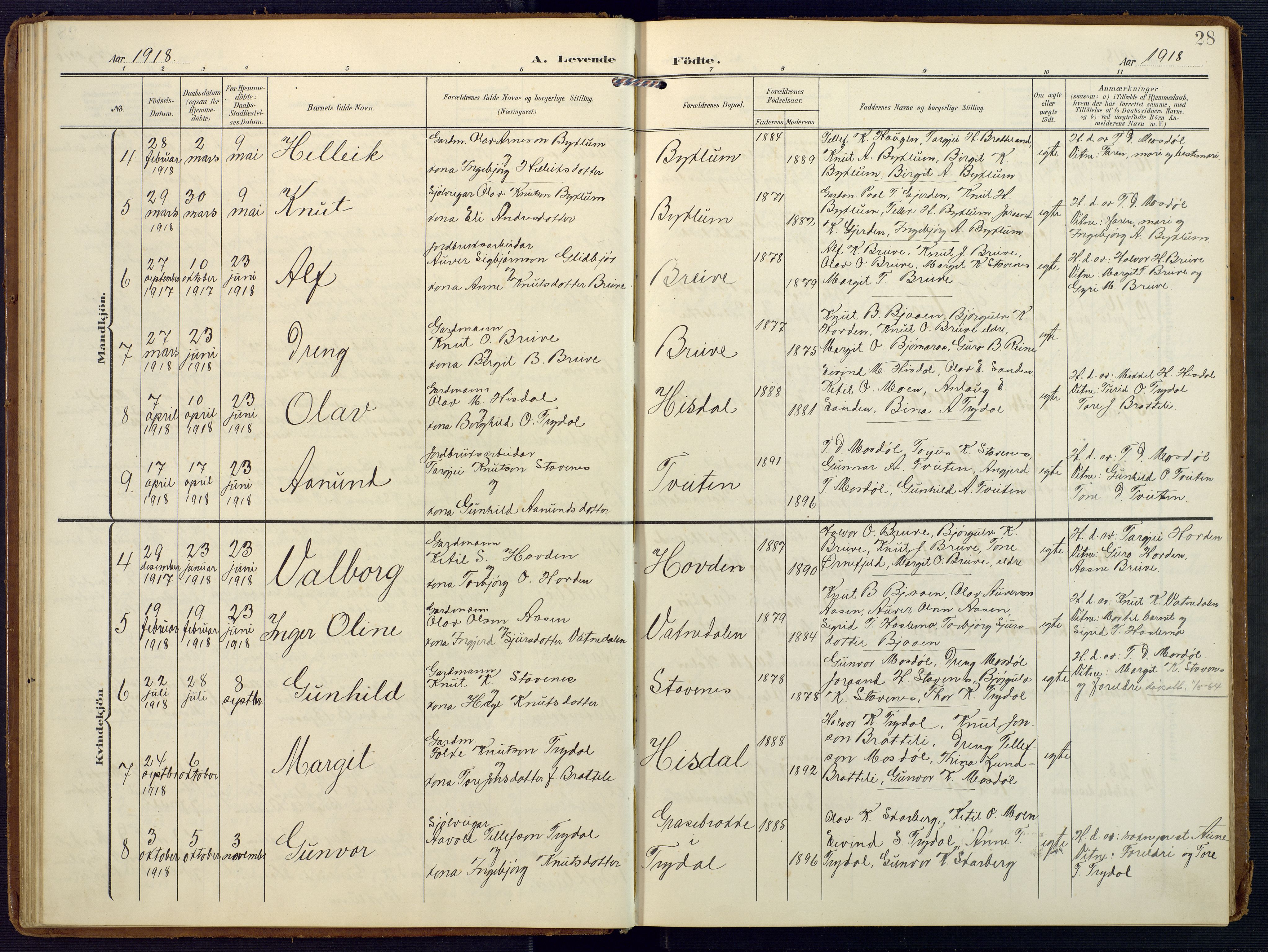 Valle sokneprestkontor, AV/SAK-1111-0044/F/Fa/Faa/L0002: Parish register (official) no. A 2, 1907-1919, p. 28