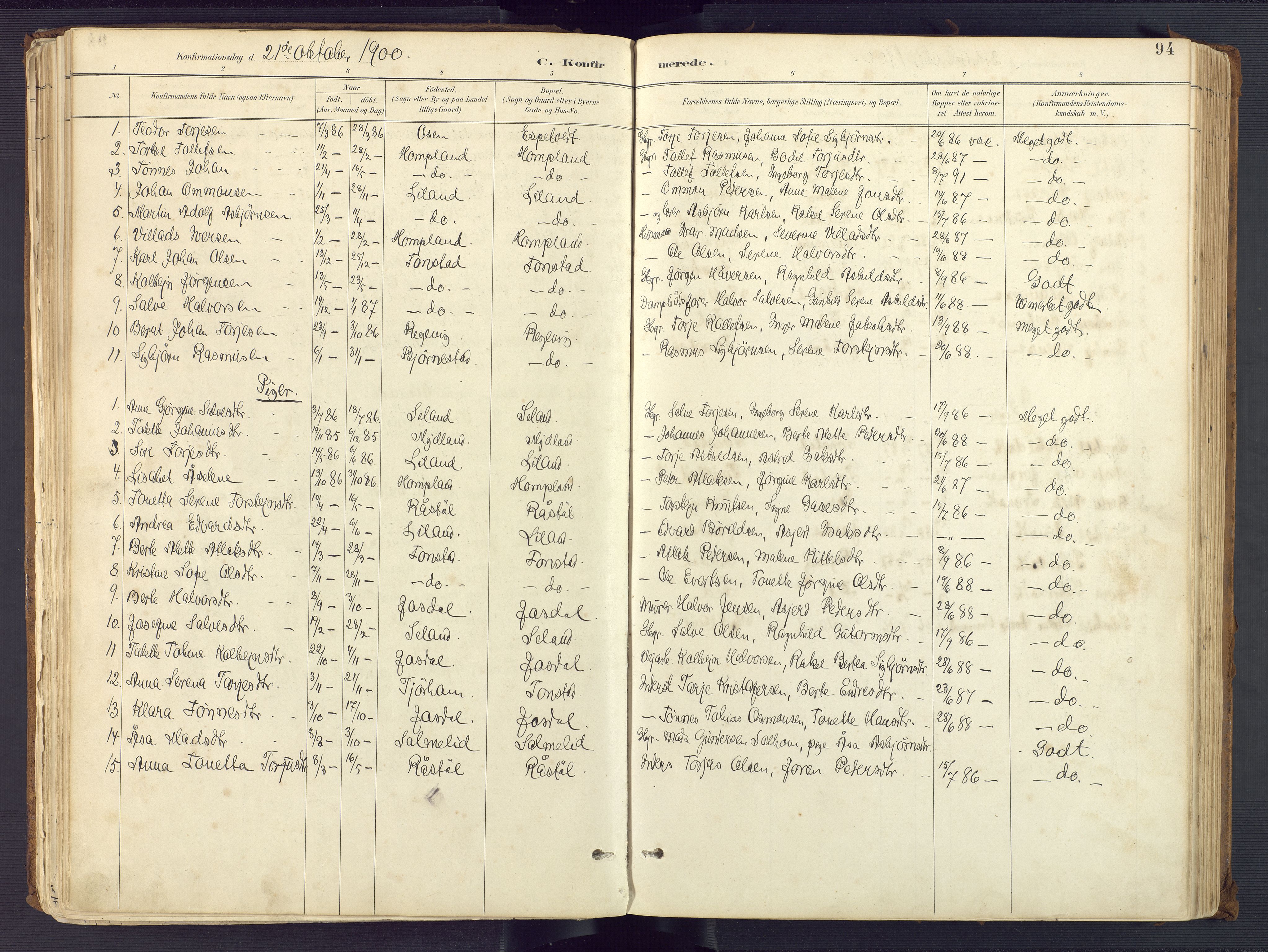 Sirdal sokneprestkontor, SAK/1111-0036/F/Fa/Fab/L0004: Parish register (official) no. A 4, 1887-1919, p. 94