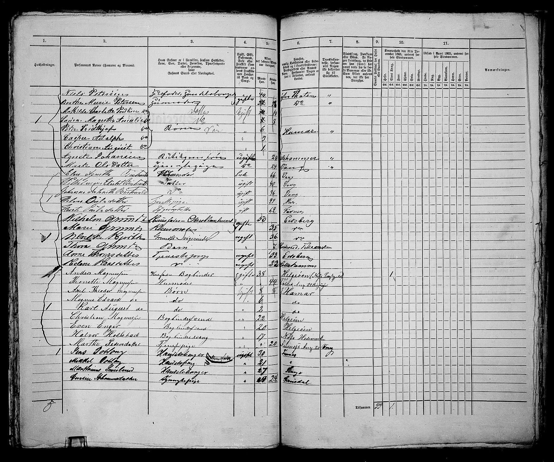 RA, 1865 census for Vang/Hamar, 1865, p. 208