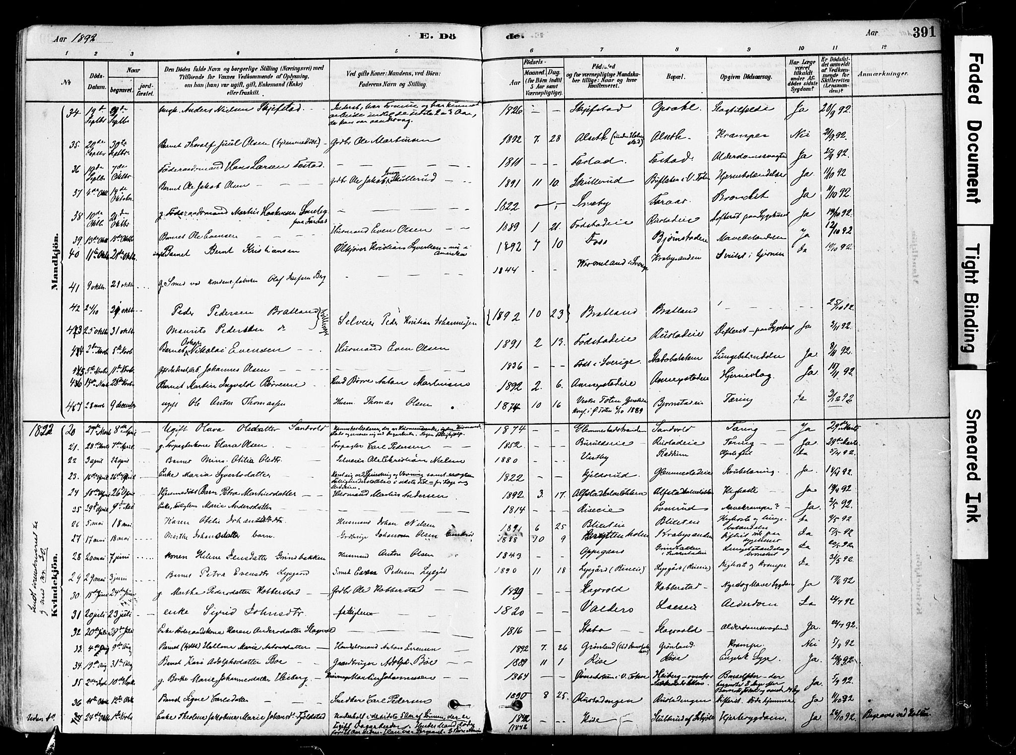 Østre Toten prestekontor, SAH/PREST-104/H/Ha/Haa/L0006: Parish register (official) no. 6 /1, 1878-1896, p. 391