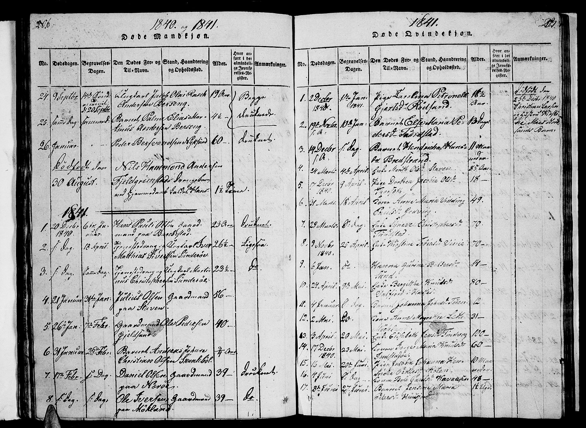 Ministerialprotokoller, klokkerbøker og fødselsregistre - Nordland, AV/SAT-A-1459/893/L1346: Parish register (copy) no. 893C01, 1820-1858, p. 206-207