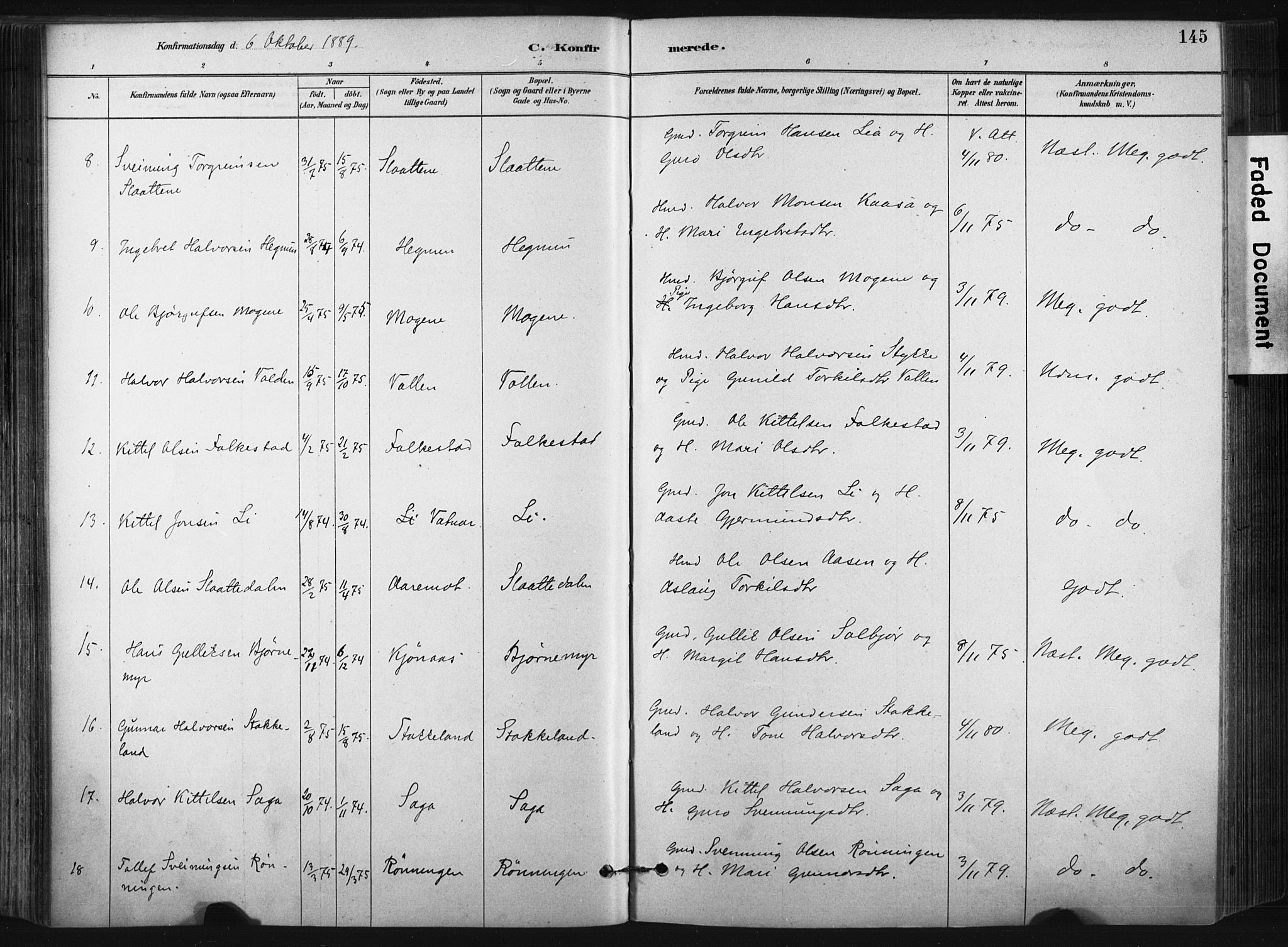 Bø kirkebøker, AV/SAKO-A-257/F/Fa/L0010: Parish register (official) no. 10, 1880-1892, p. 145