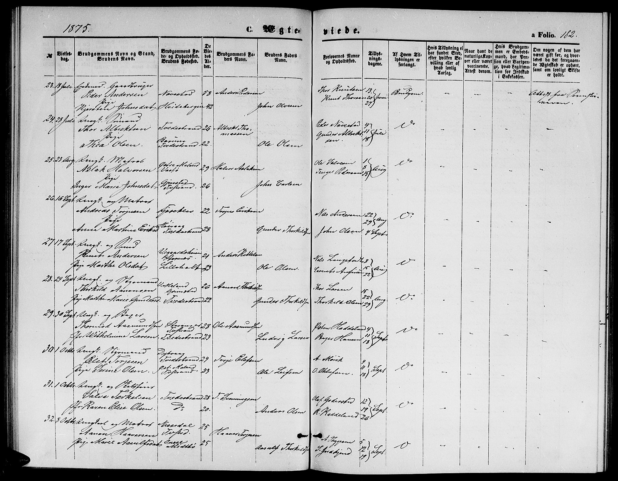 Holt sokneprestkontor, AV/SAK-1111-0021/F/Fb/L0009: Parish register (copy) no. B 9, 1871-1883, p. 182