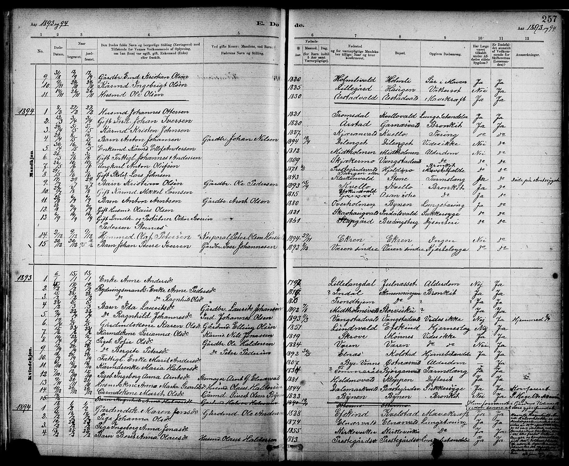Ministerialprotokoller, klokkerbøker og fødselsregistre - Nord-Trøndelag, SAT/A-1458/724/L0267: Parish register (copy) no. 724C03, 1879-1898, p. 257