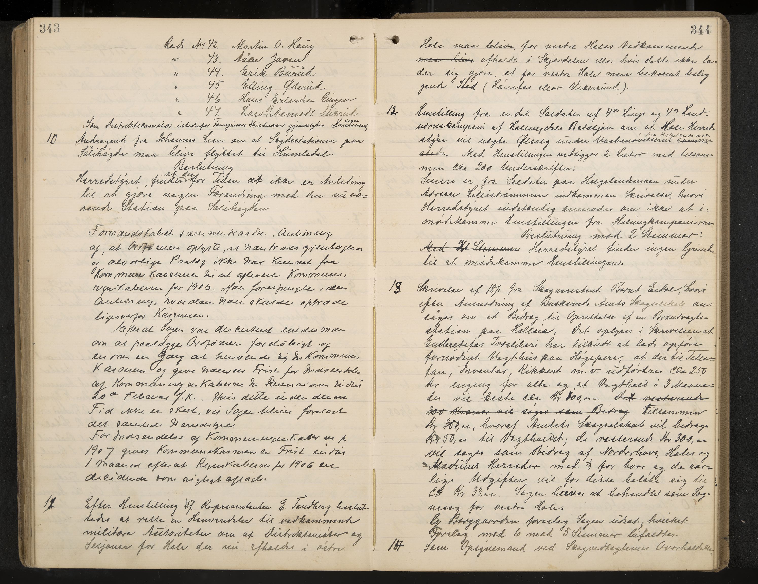 Hole formannskap og sentraladministrasjon, IKAK/0612021-1/A/Aa/L0004: Møtebok med register, 1902-1910, p. 343-344