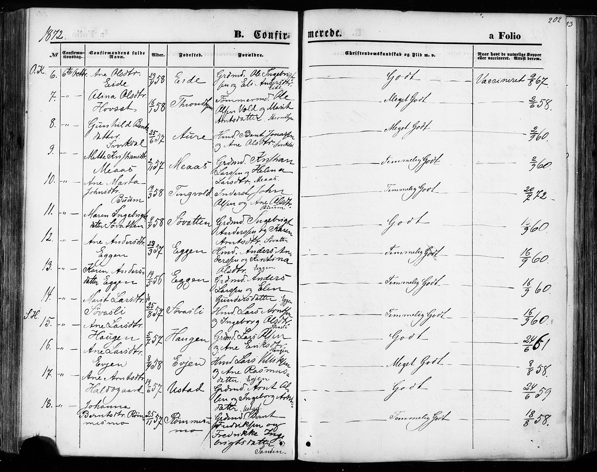 Ministerialprotokoller, klokkerbøker og fødselsregistre - Sør-Trøndelag, AV/SAT-A-1456/668/L0807: Parish register (official) no. 668A07, 1870-1880, p. 202