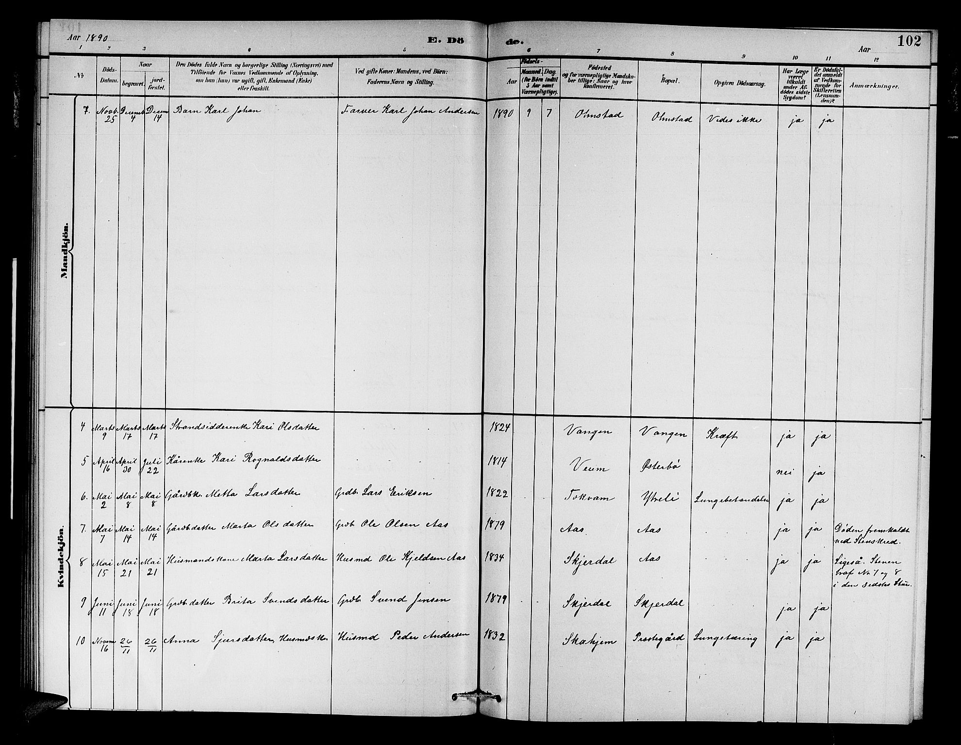 Aurland sokneprestembete, SAB/A-99937/H/Hb/Hba/L0002: Parish register (copy) no. A 2, 1880-1895, p. 102