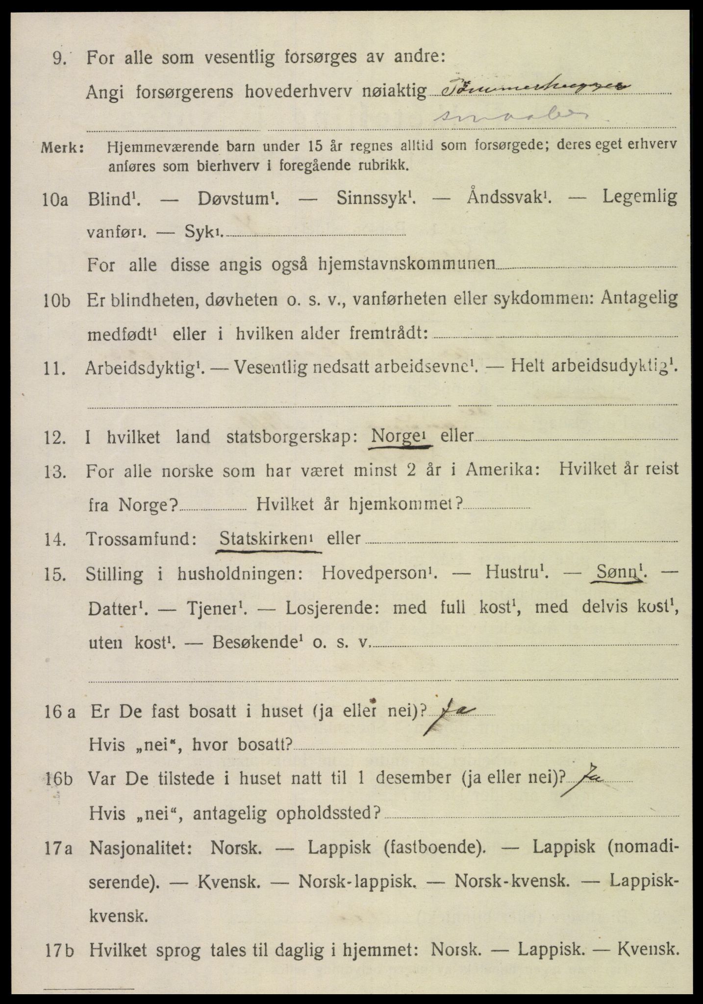 SAT, 1920 census for Sørli, 1920, p. 1052