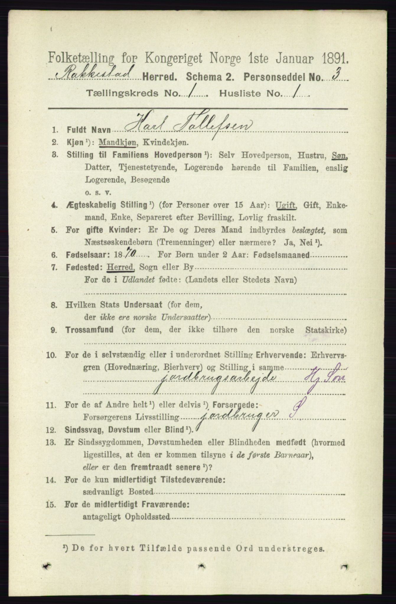 RA, 1891 census for 0128 Rakkestad, 1891, p. 119