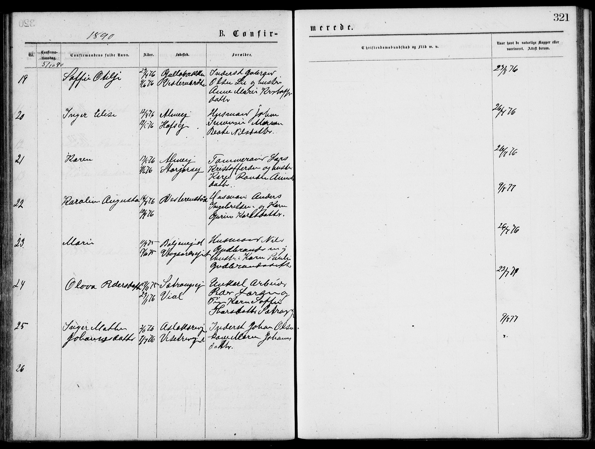 Norderhov kirkebøker, SAKO/A-237/G/Gb/L0001: Parish register (copy) no. II 1, 1876-1899, p. 321