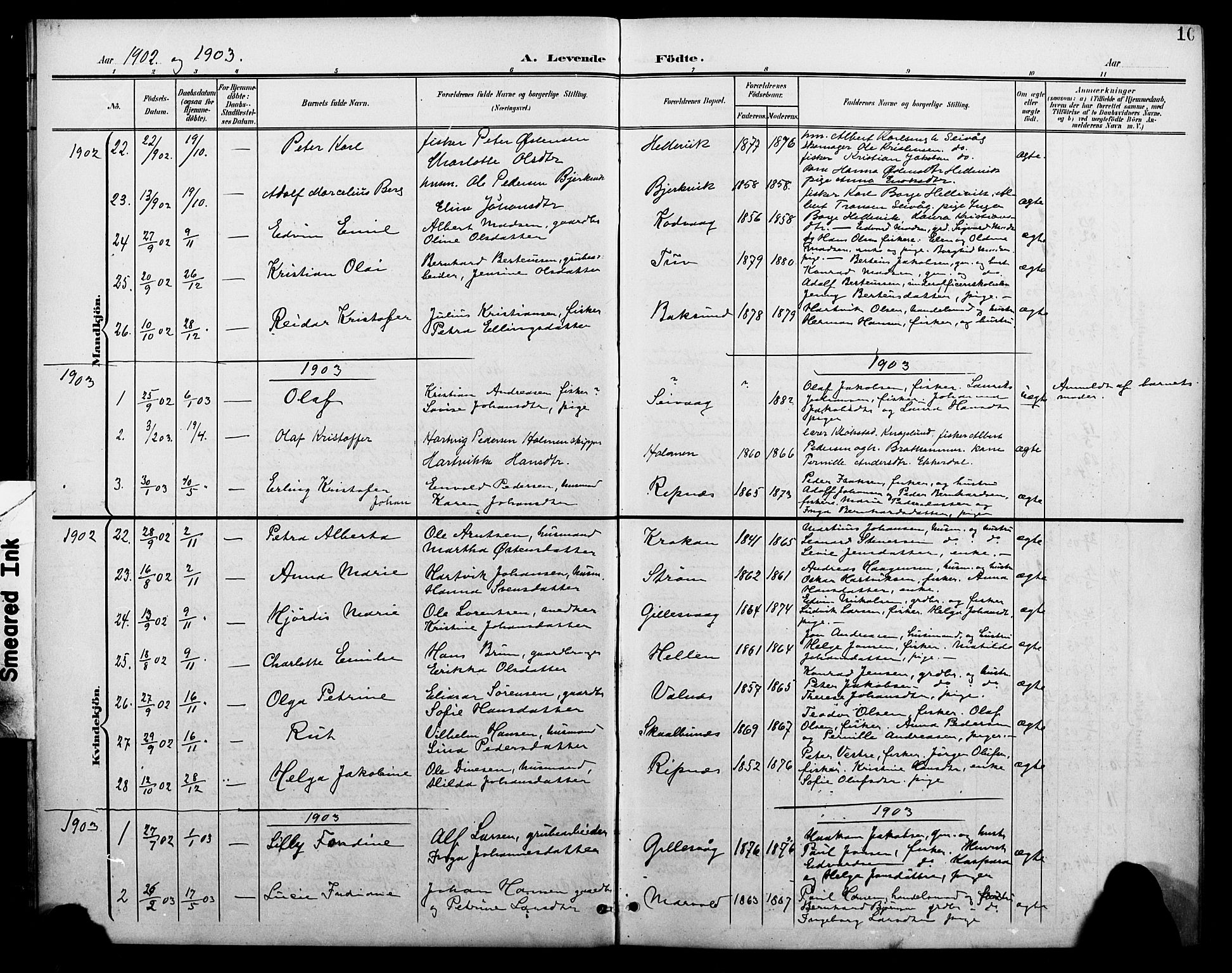 Ministerialprotokoller, klokkerbøker og fødselsregistre - Nordland, SAT/A-1459/804/L0088: Parish register (copy) no. 804C01, 1901-1917, p. 10