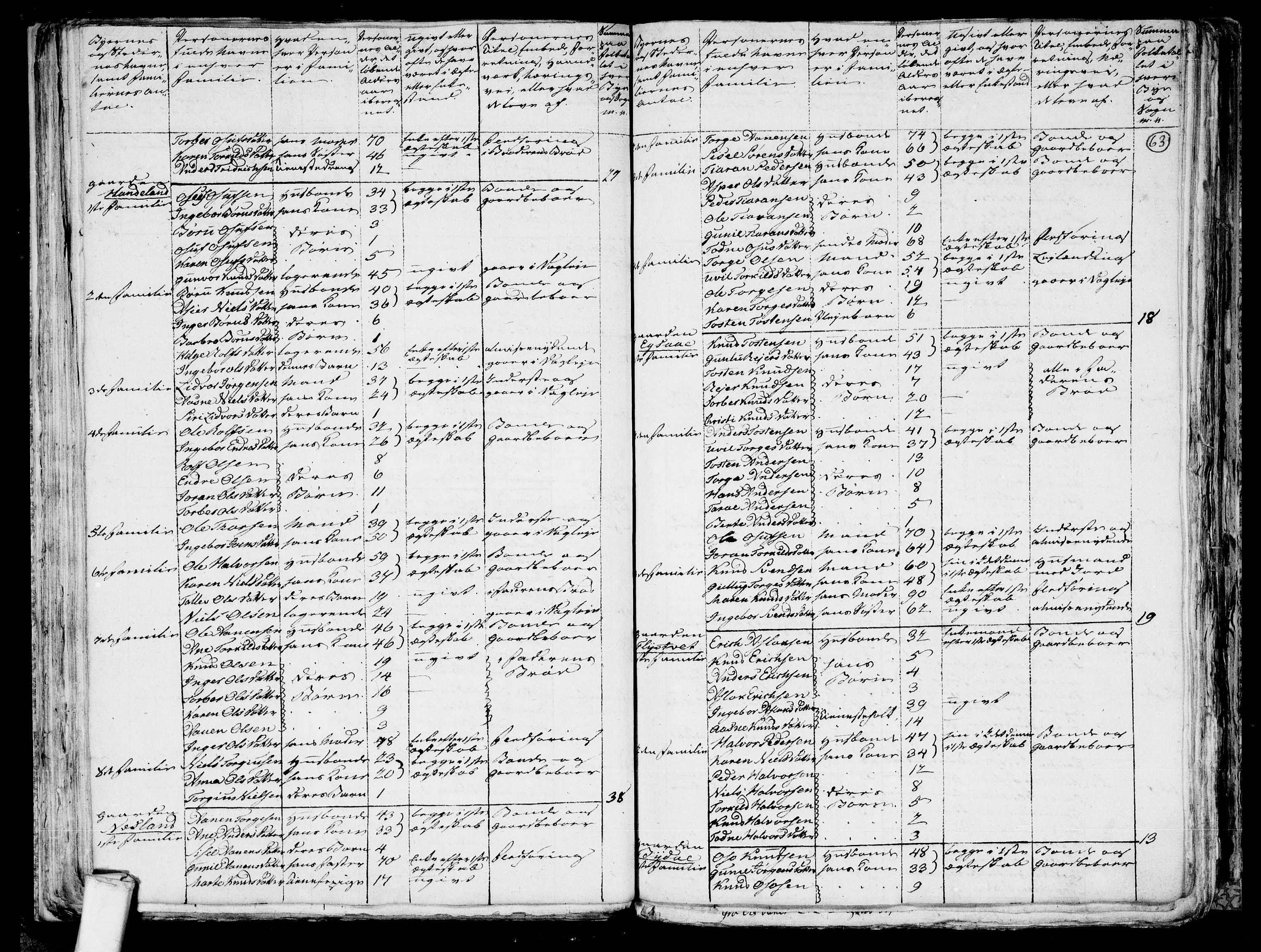 RA, 1801 census for 1024P Bjelland, 1801, p. 62b-63a