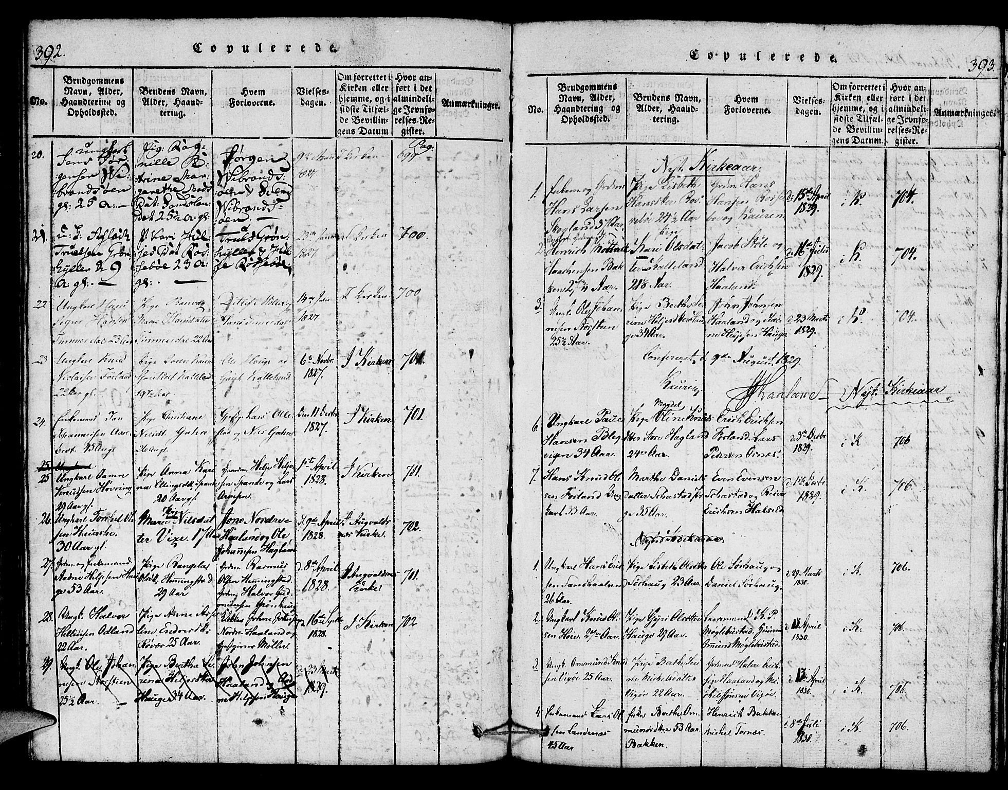 Torvastad sokneprestkontor, SAST/A -101857/H/Ha/Haa/L0004: Parish register (official) no. A 4, 1817-1836, p. 392-393