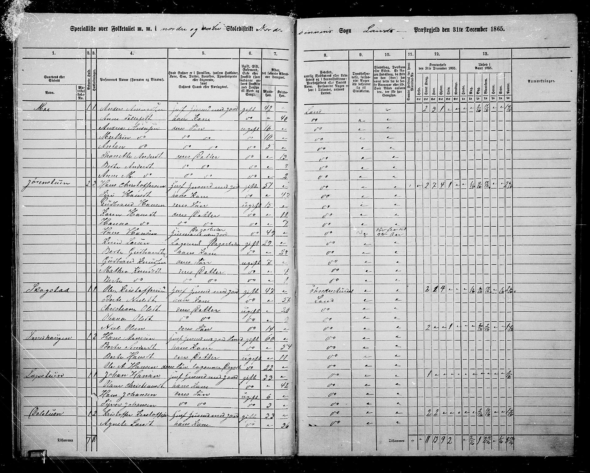 RA, 1865 census for Land, 1865, p. 29