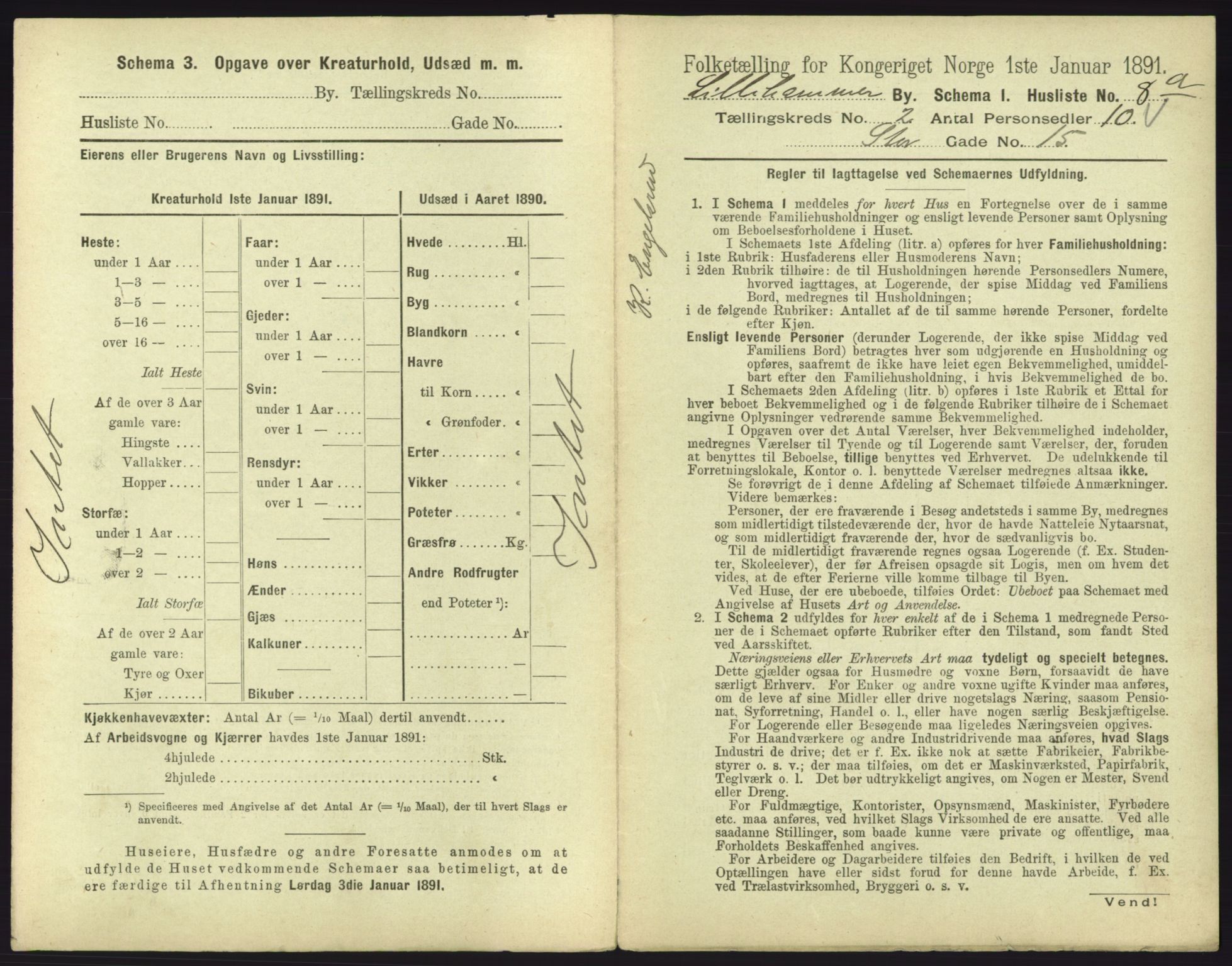 RA, 1891 census for 0501 Lillehammer, 1891, p. 225