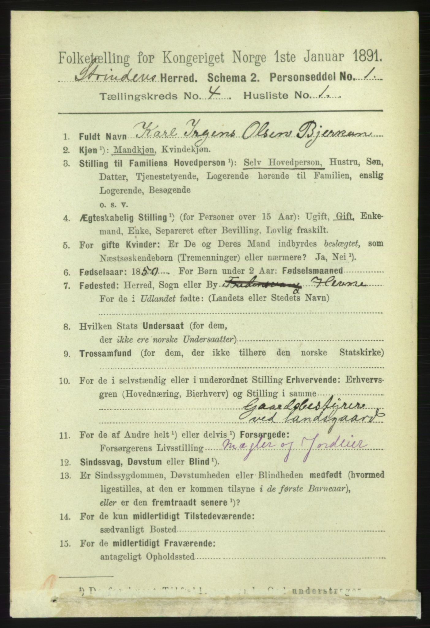 RA, 1891 census for 1660 Strinda, 1891, p. 3809