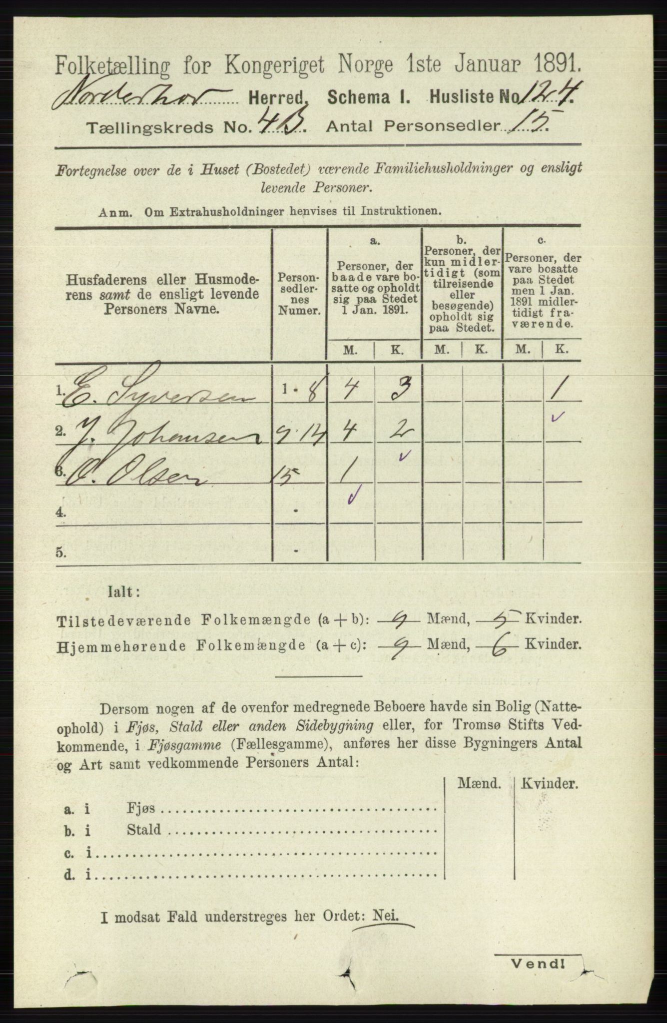 RA, 1891 census for 0613 Norderhov, 1891, p. 1993