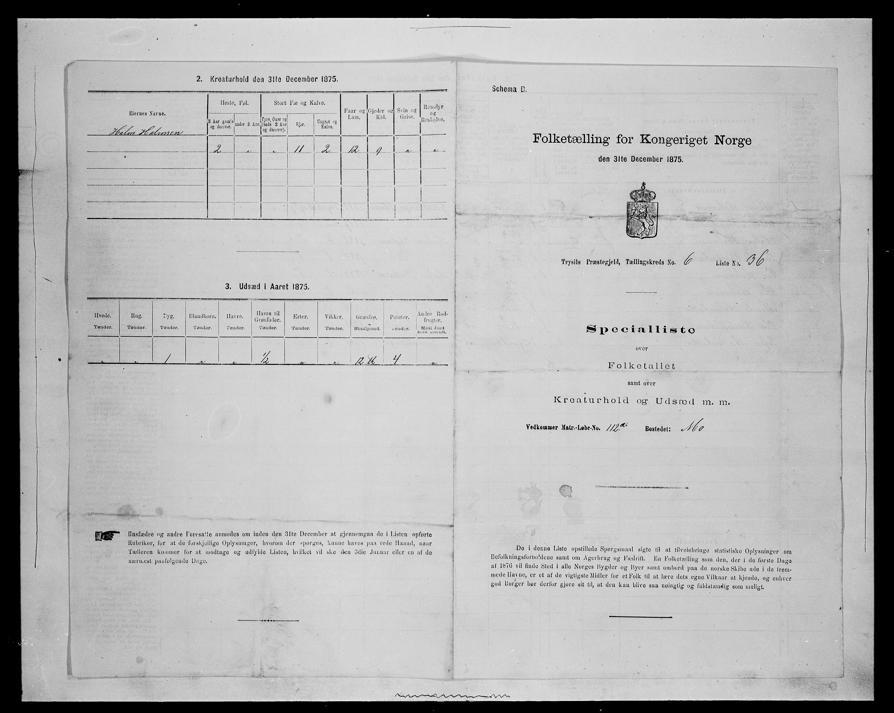 SAH, 1875 census for 0428P Trysil, 1875, p. 791