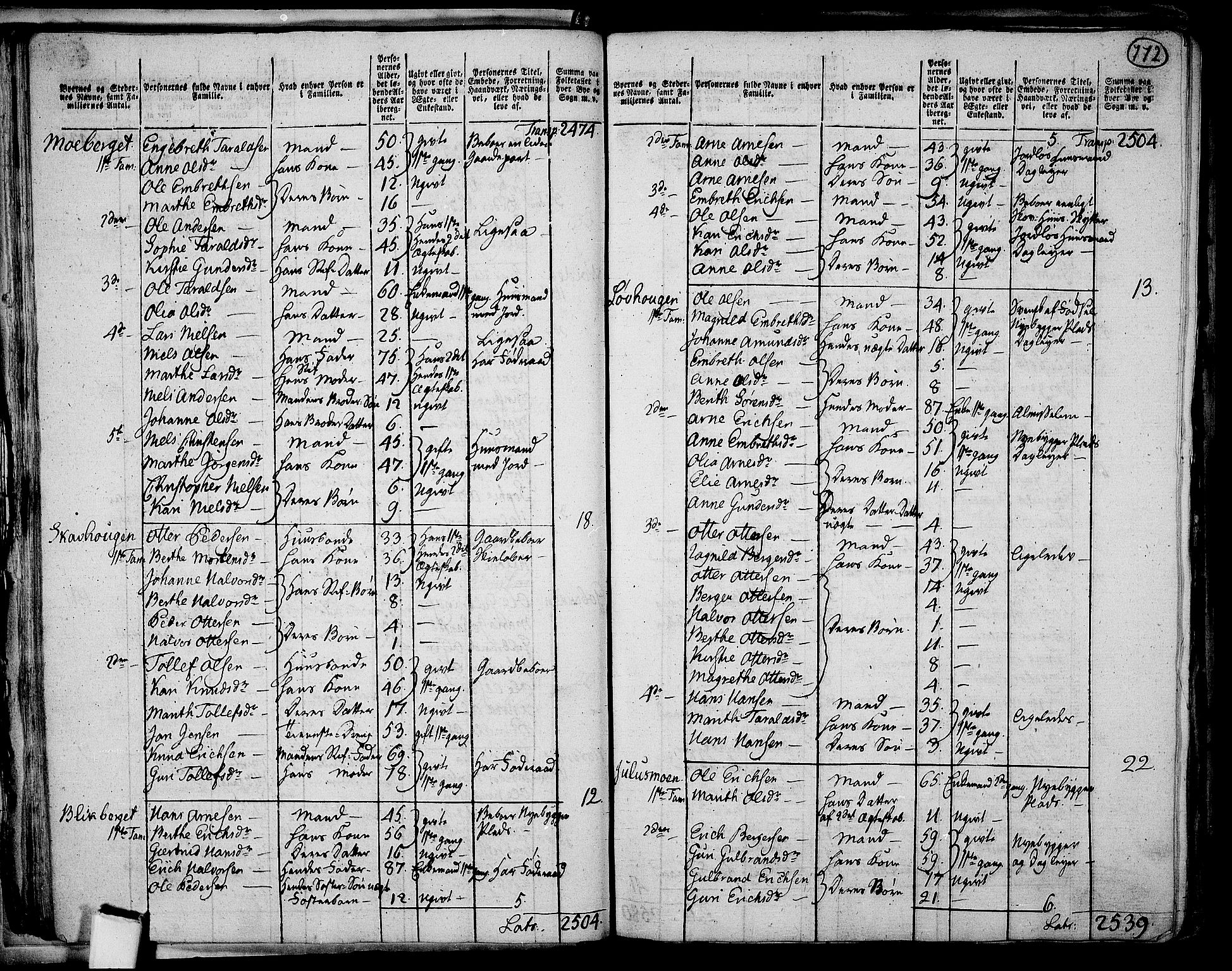 RA, 1801 census for 0427P Elverum, 1801, p. 771b-772a