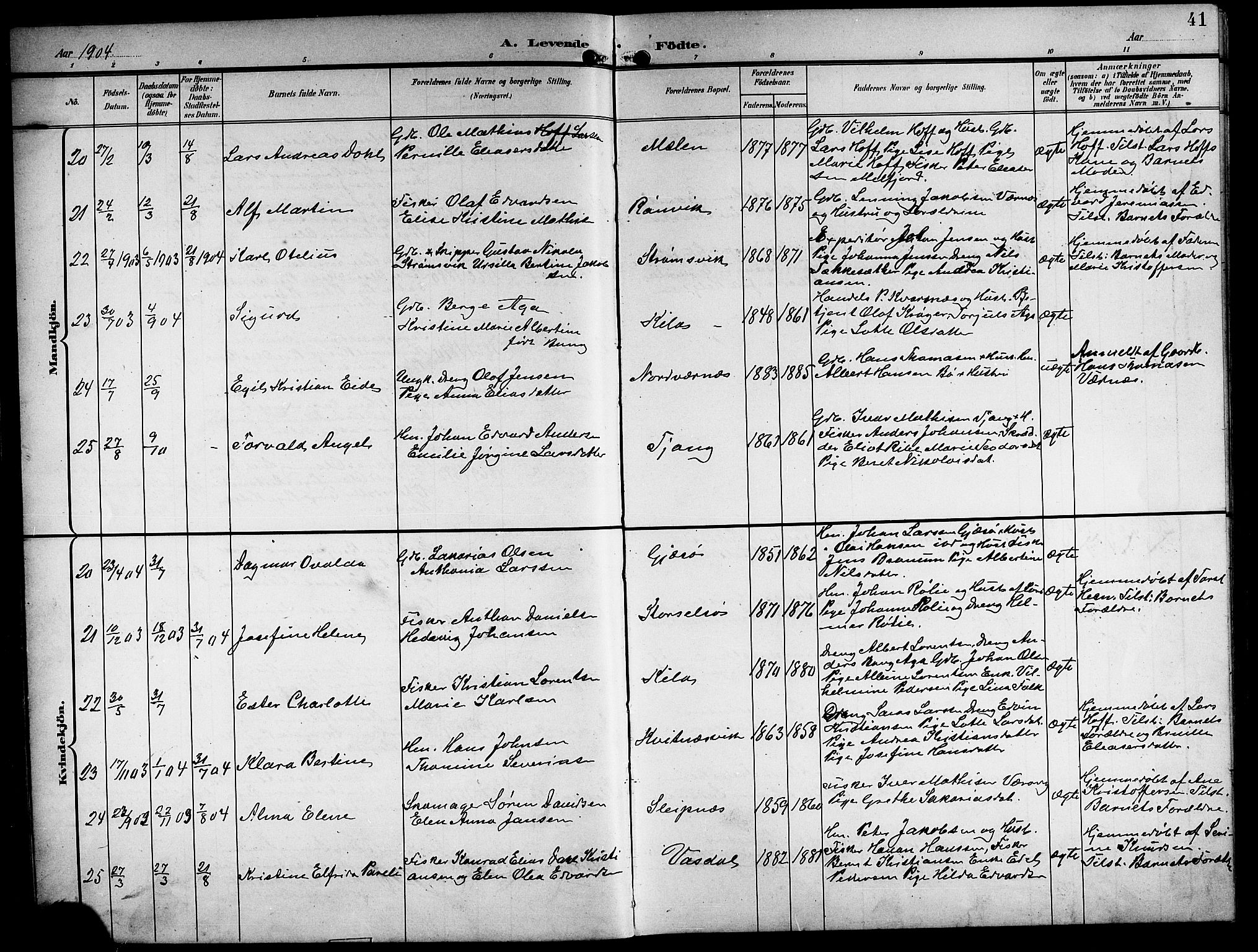 Ministerialprotokoller, klokkerbøker og fødselsregistre - Nordland, AV/SAT-A-1459/841/L0621: Parish register (copy) no. 841C05, 1897-1923, p. 41