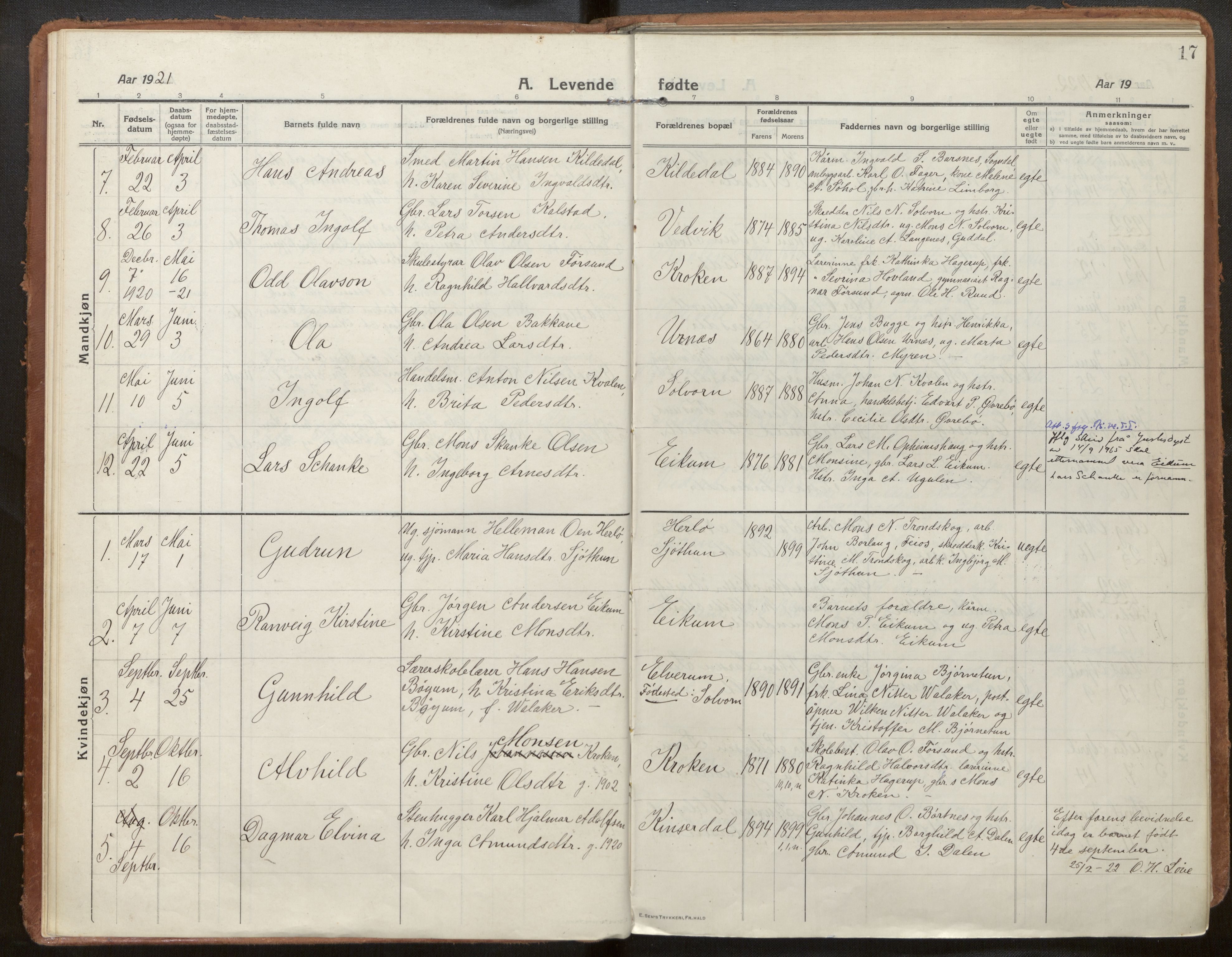 Hafslo sokneprestembete, AV/SAB-A-80301/H/Haa/Haac/L0002: Parish register (official) no. C 2, 1914-1955, p. 17