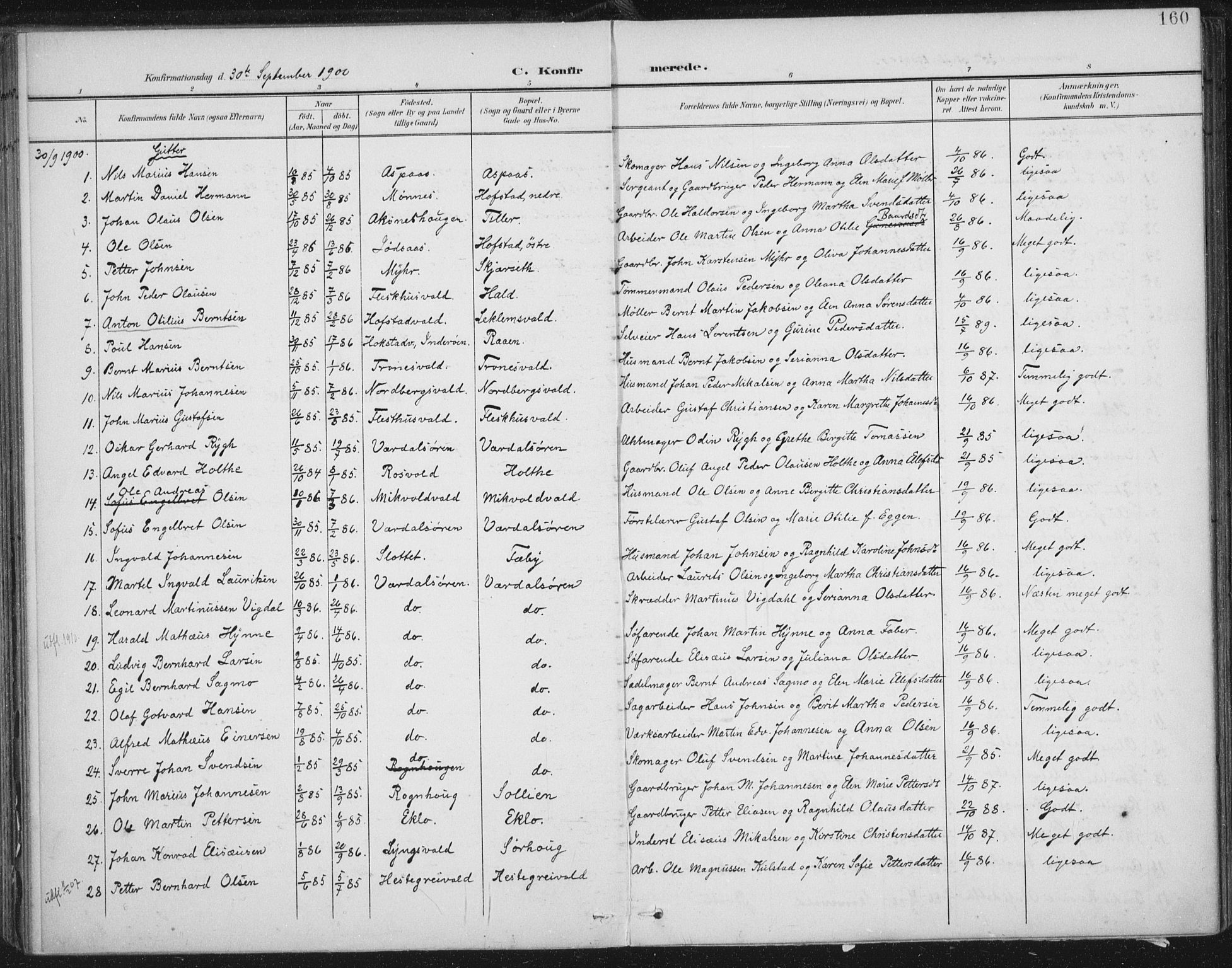 Ministerialprotokoller, klokkerbøker og fødselsregistre - Nord-Trøndelag, SAT/A-1458/723/L0246: Parish register (official) no. 723A15, 1900-1917, p. 160