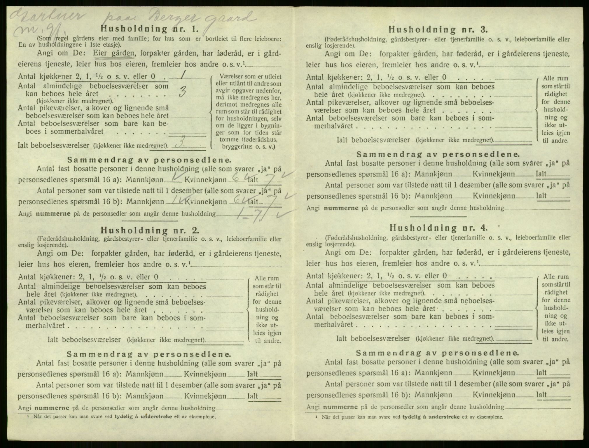 SAKO, 1920 census for Strømm, 1920, p. 142