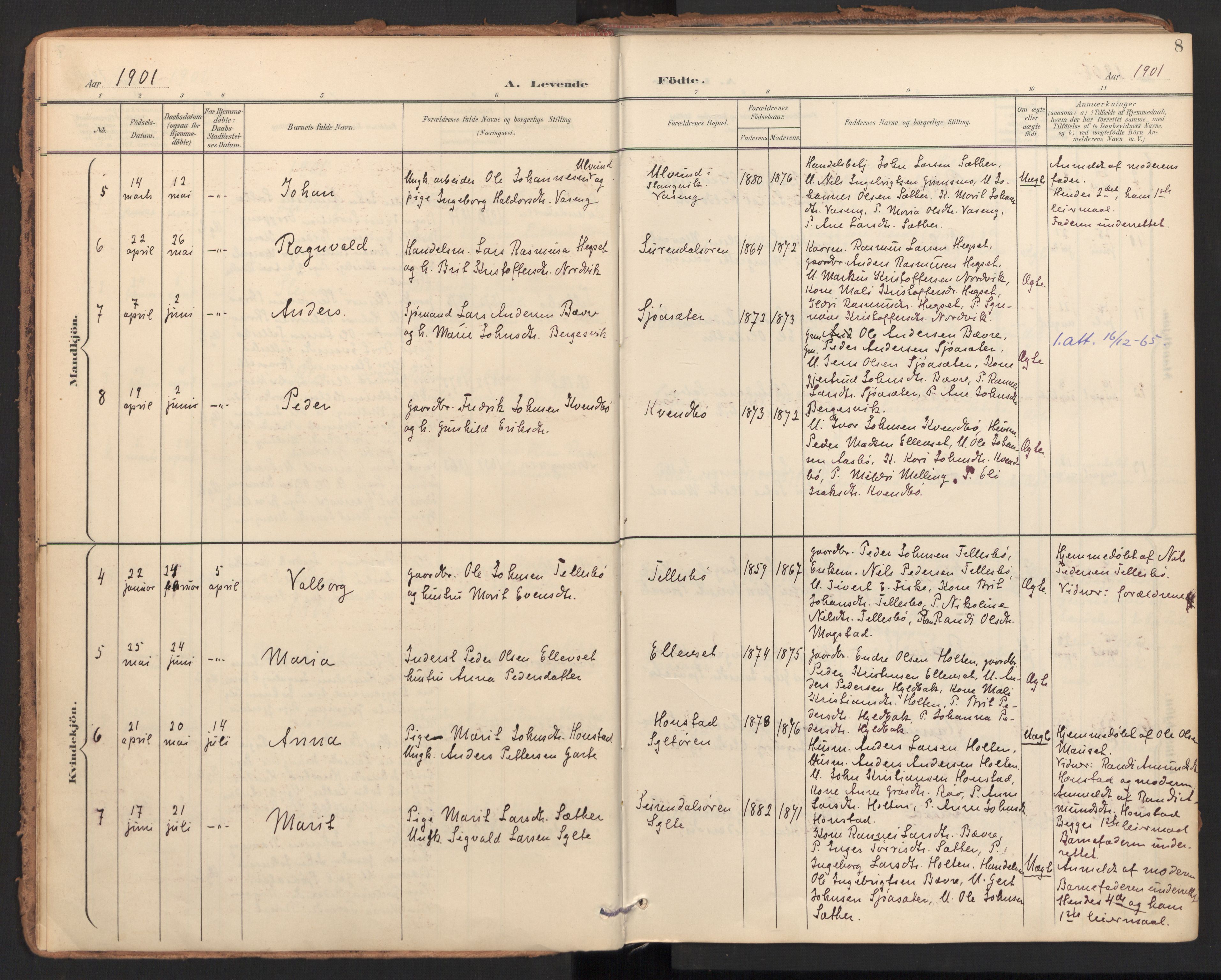 Ministerialprotokoller, klokkerbøker og fødselsregistre - Møre og Romsdal, AV/SAT-A-1454/596/L1057: Parish register (official) no. 596A02, 1900-1917, p. 8