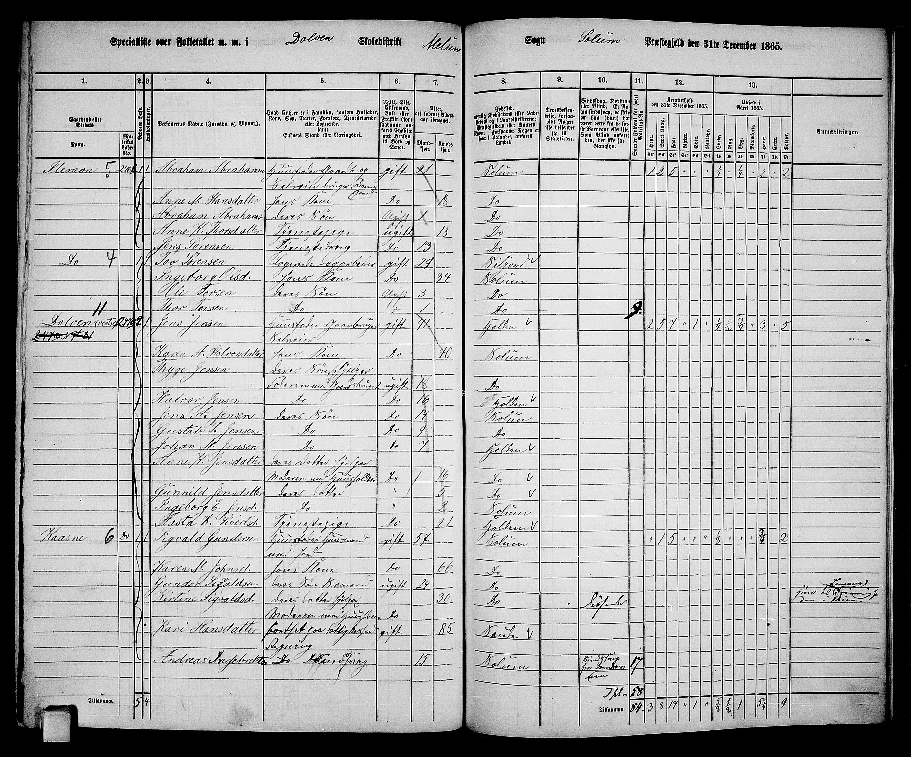 RA, 1865 census for Solum, 1865, p. 195