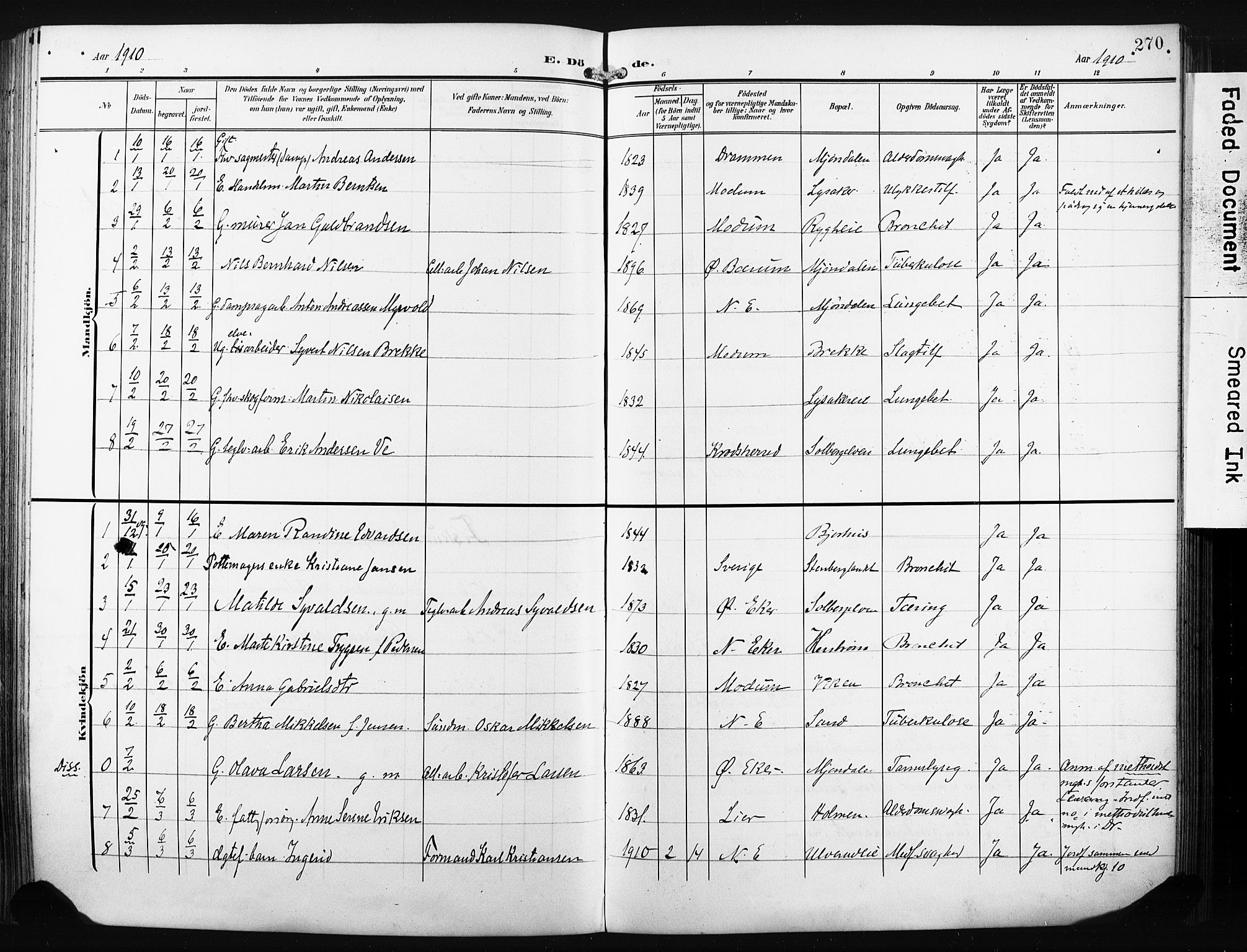 Nedre Eiker kirkebøker, AV/SAKO-A-612/F/Fa/L0006: Parish register (official) no. 6, 1906-1912, p. 270