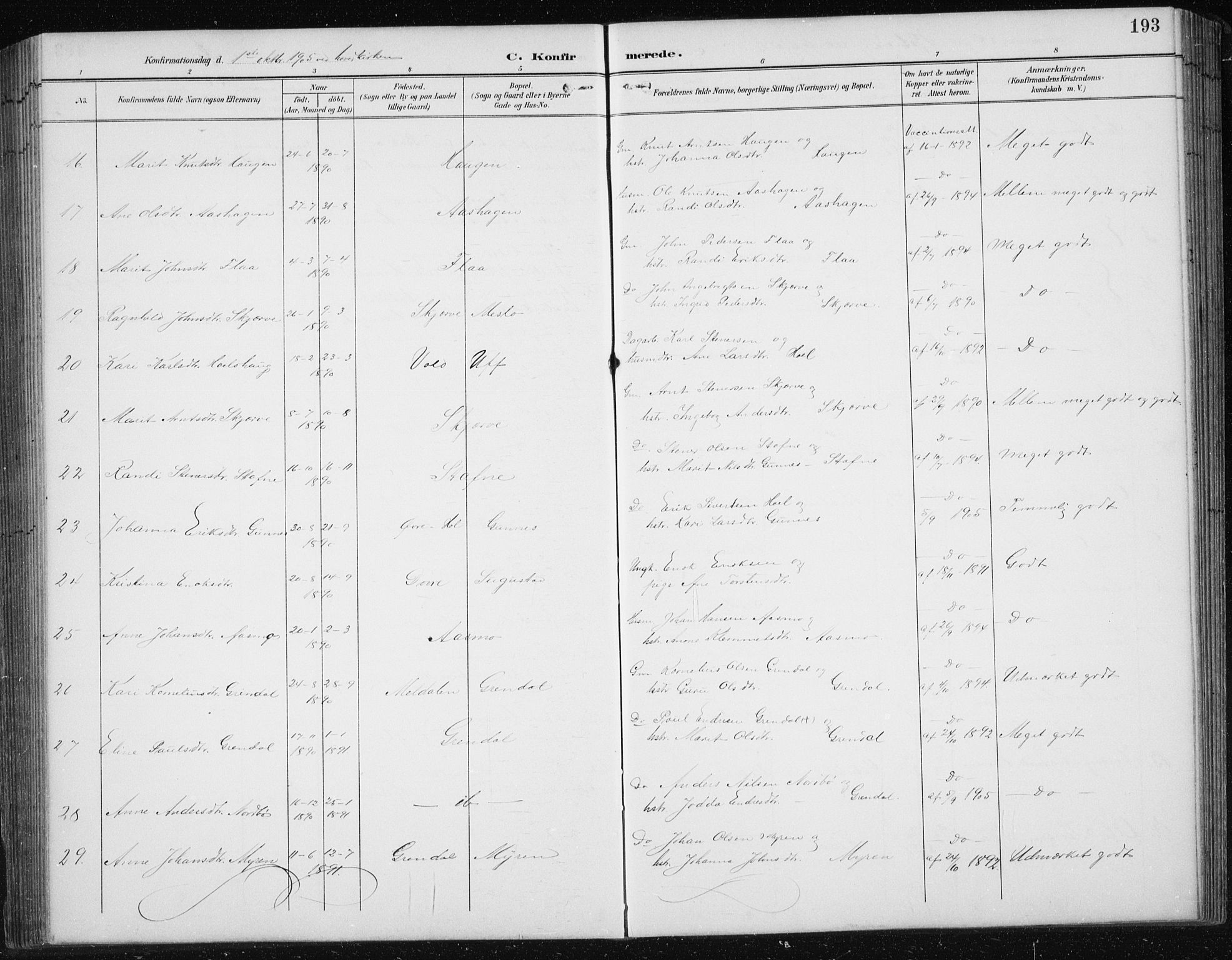 Ministerialprotokoller, klokkerbøker og fødselsregistre - Sør-Trøndelag, SAT/A-1456/674/L0876: Parish register (copy) no. 674C03, 1892-1912, p. 193