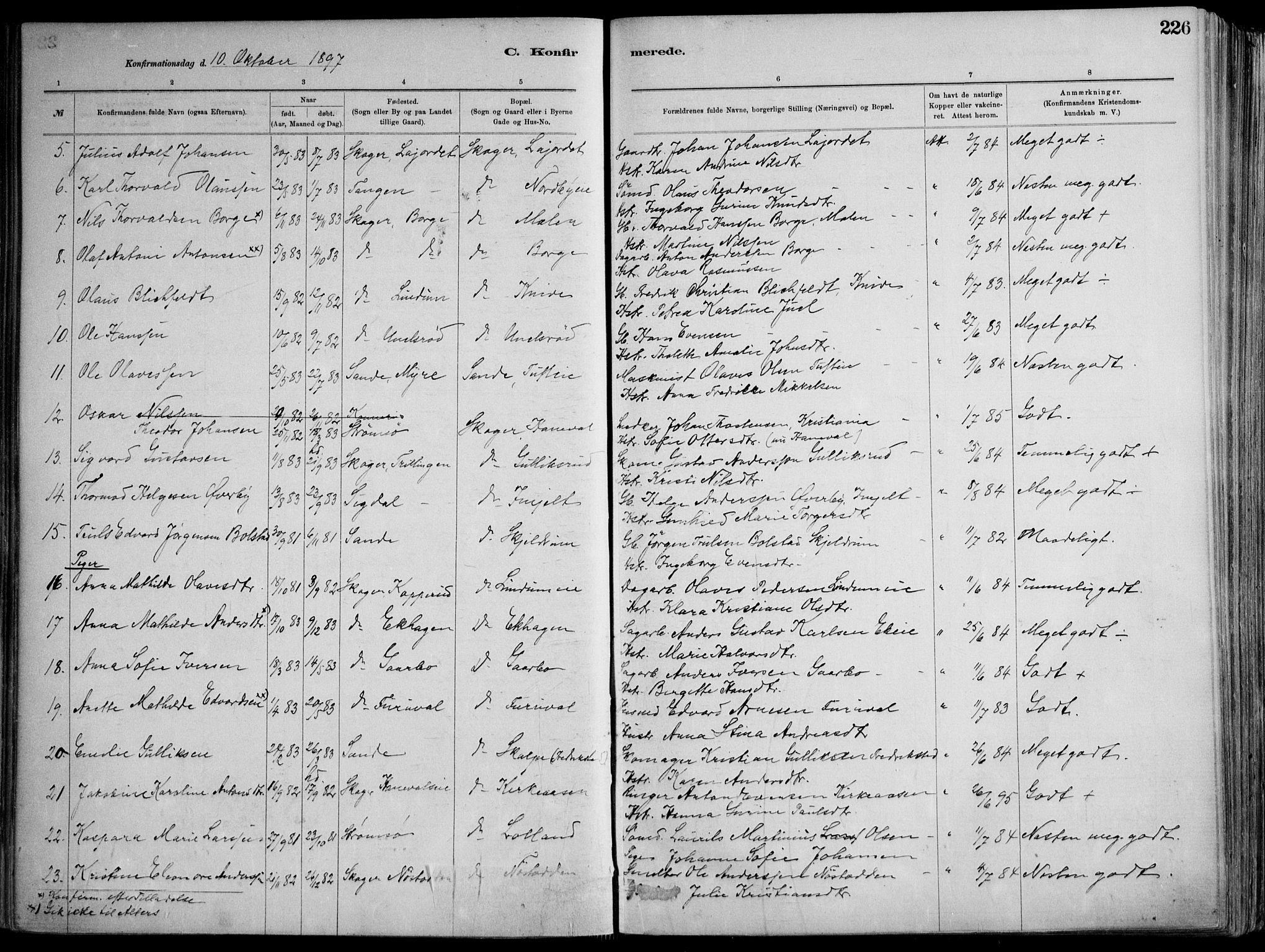 Skoger kirkebøker, AV/SAKO-A-59/F/Fa/L0006: Parish register (official) no. I 6, 1885-1910, p. 226