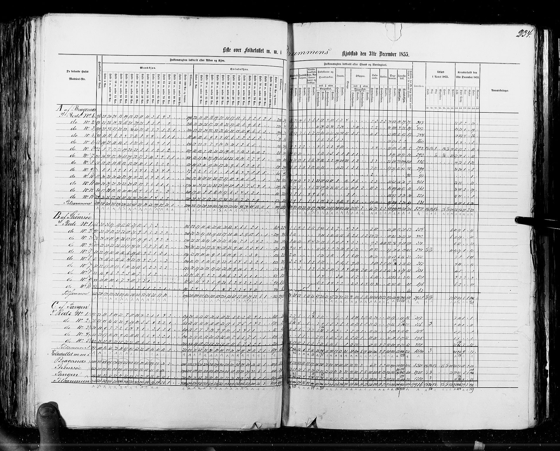 RA, Census 1855, vol. 7: Fredrikshald-Kragerø, 1855, p. 234