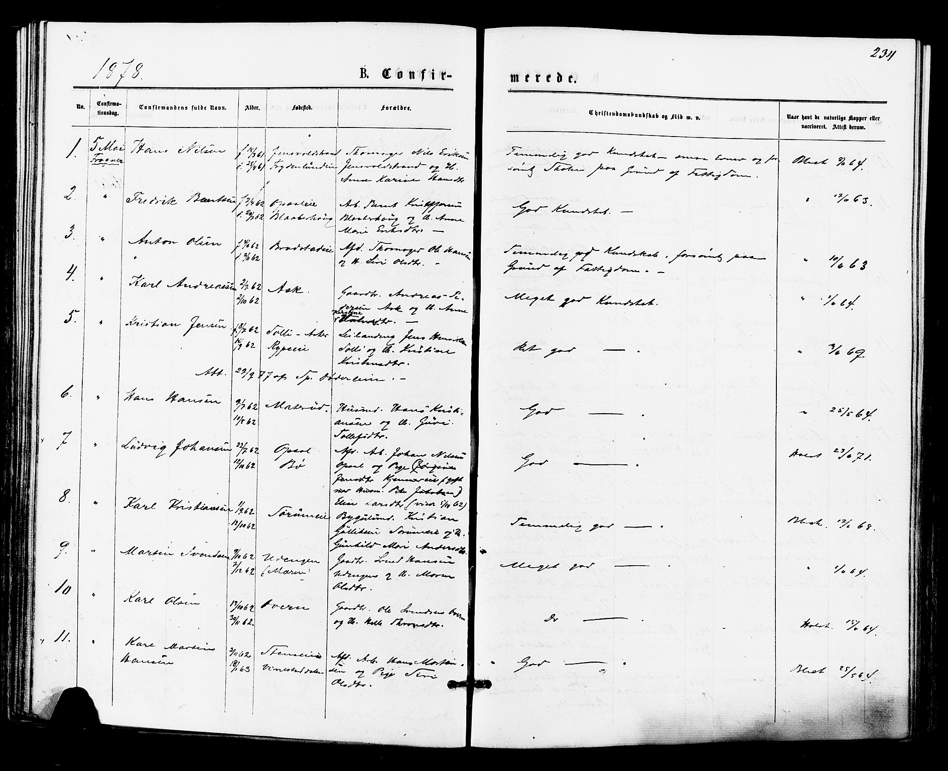 Lier kirkebøker, AV/SAKO-A-230/F/Fa/L0014: Parish register (official) no. I 14, 1875-1882, p. 234