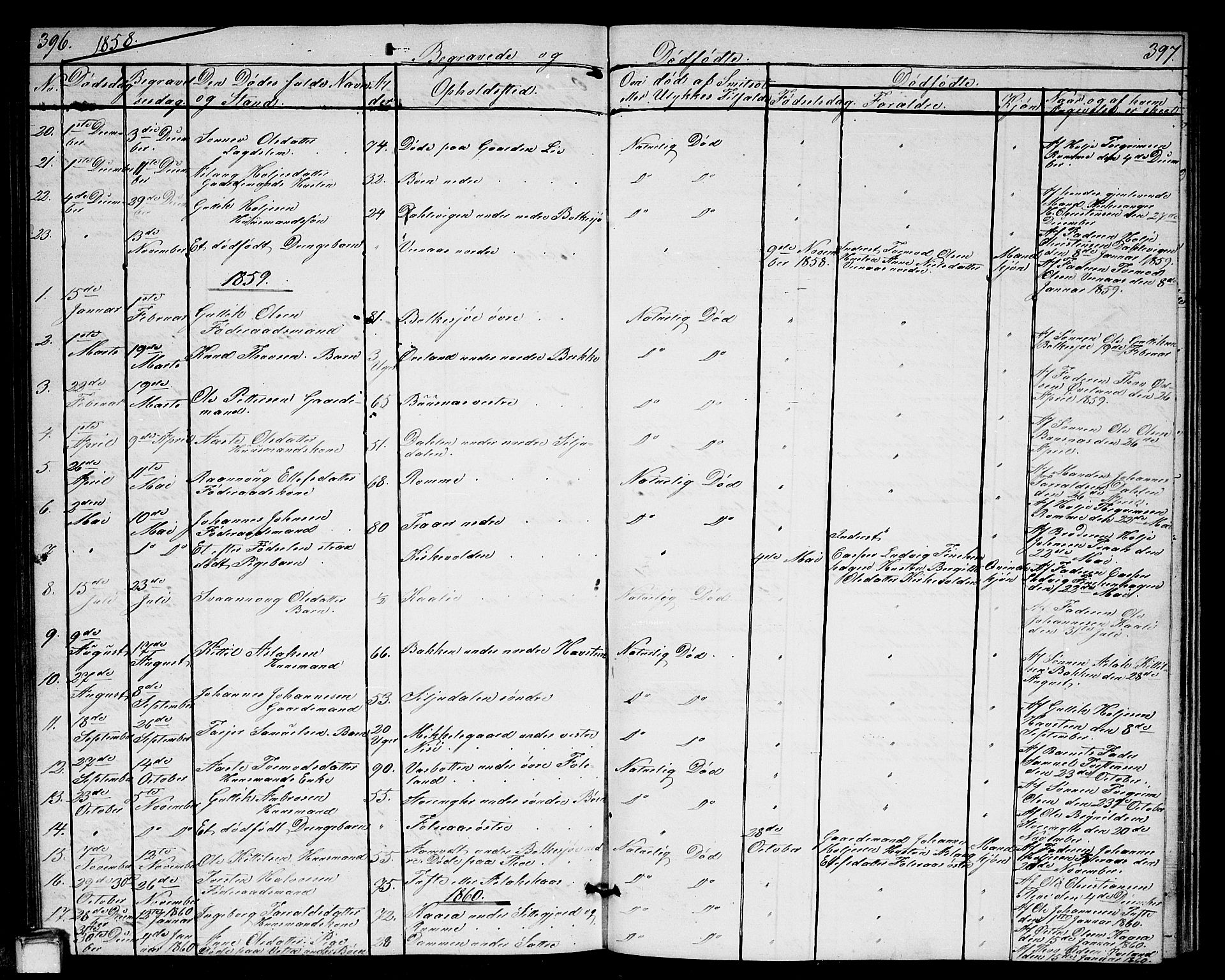 Gransherad kirkebøker, SAKO/A-267/G/Ga/L0002: Parish register (copy) no. I 2, 1854-1886, p. 396-397