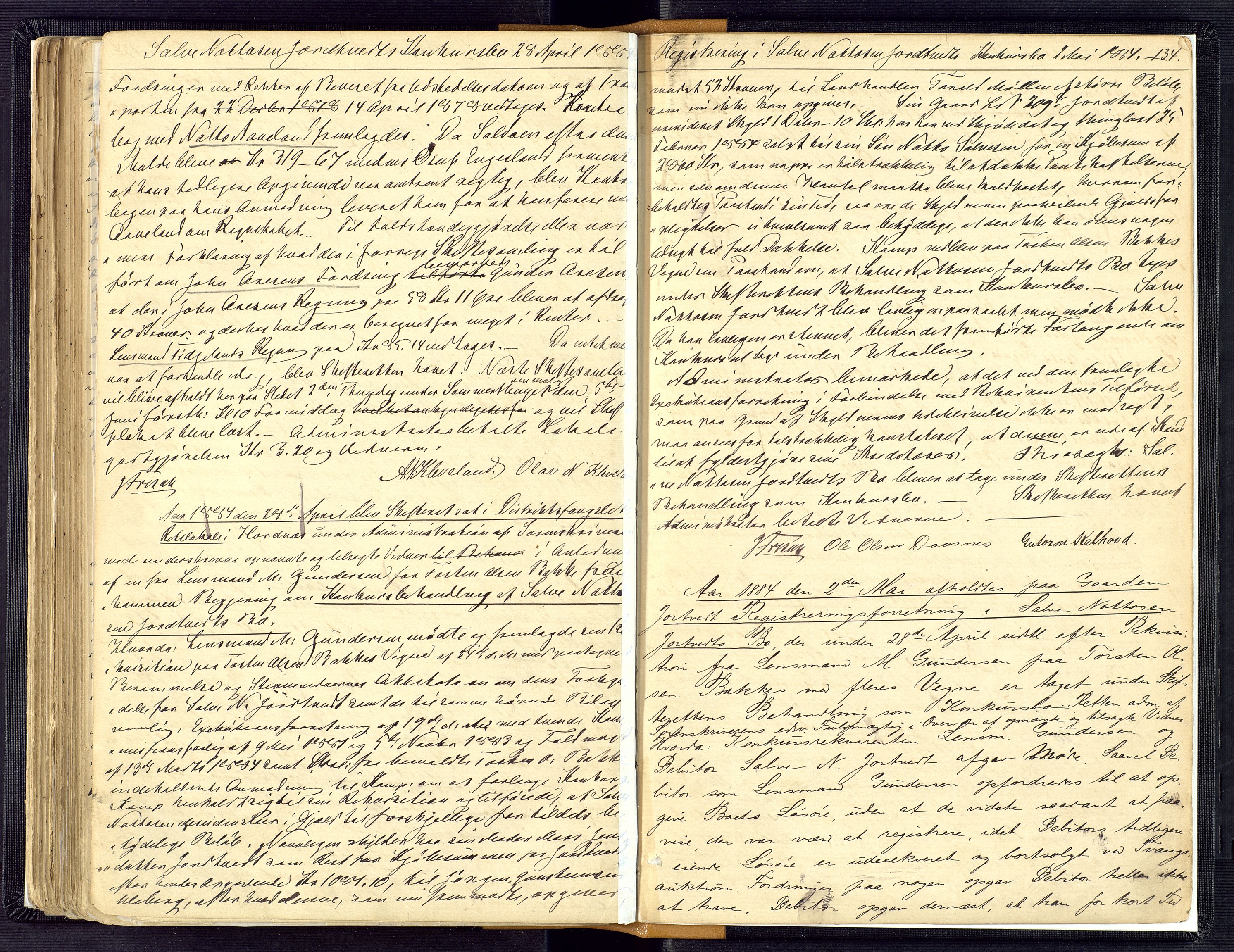Setesdal sorenskriveri, AV/SAK-1221-0011/H/Hc/L0032: Skifteforhandlingsprotokoll nr 4, 1879-1884, p. 134