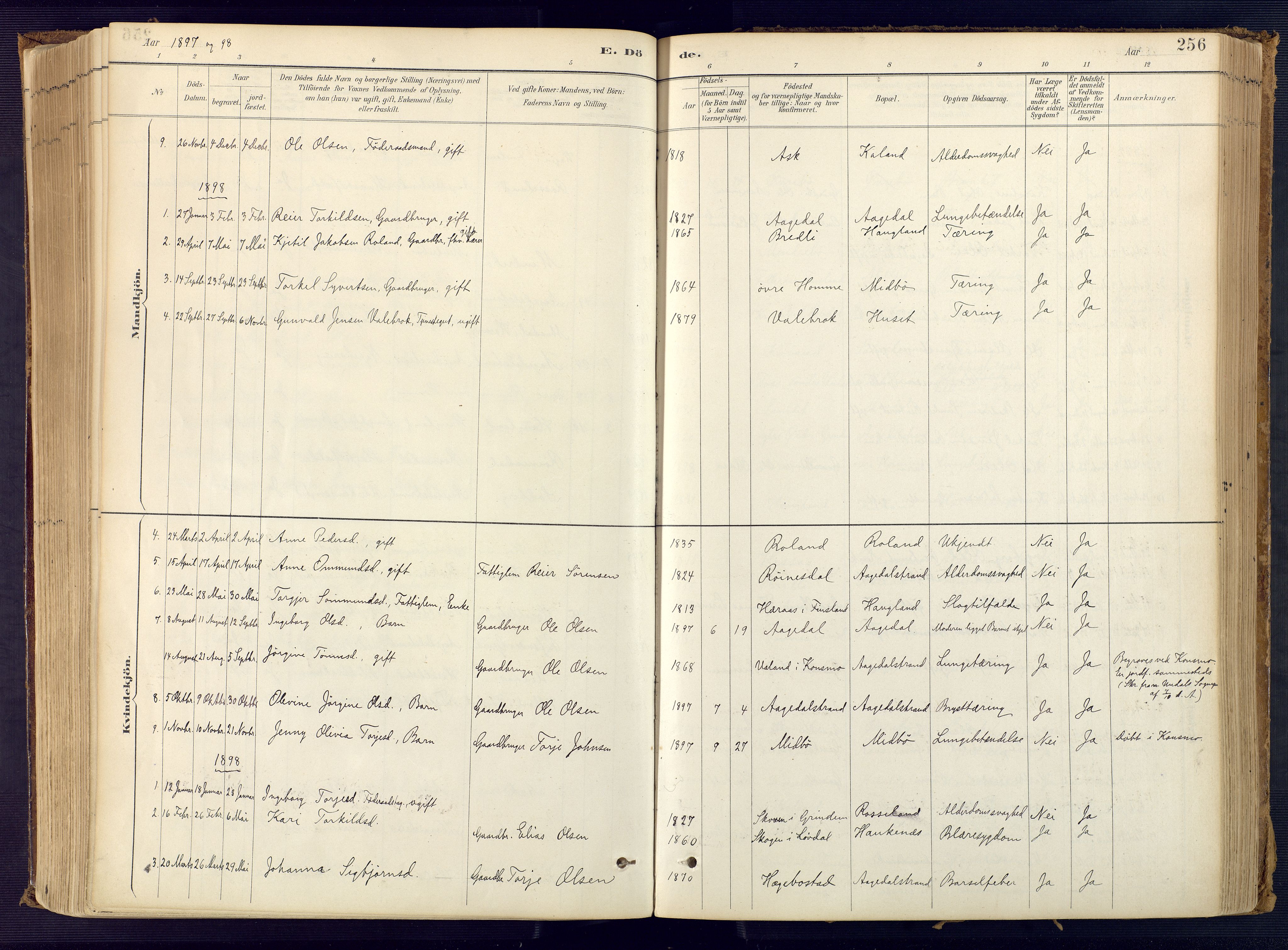 Bjelland sokneprestkontor, SAK/1111-0005/F/Fa/Faa/L0004: Parish register (official) no. A 4, 1887-1923, p. 256