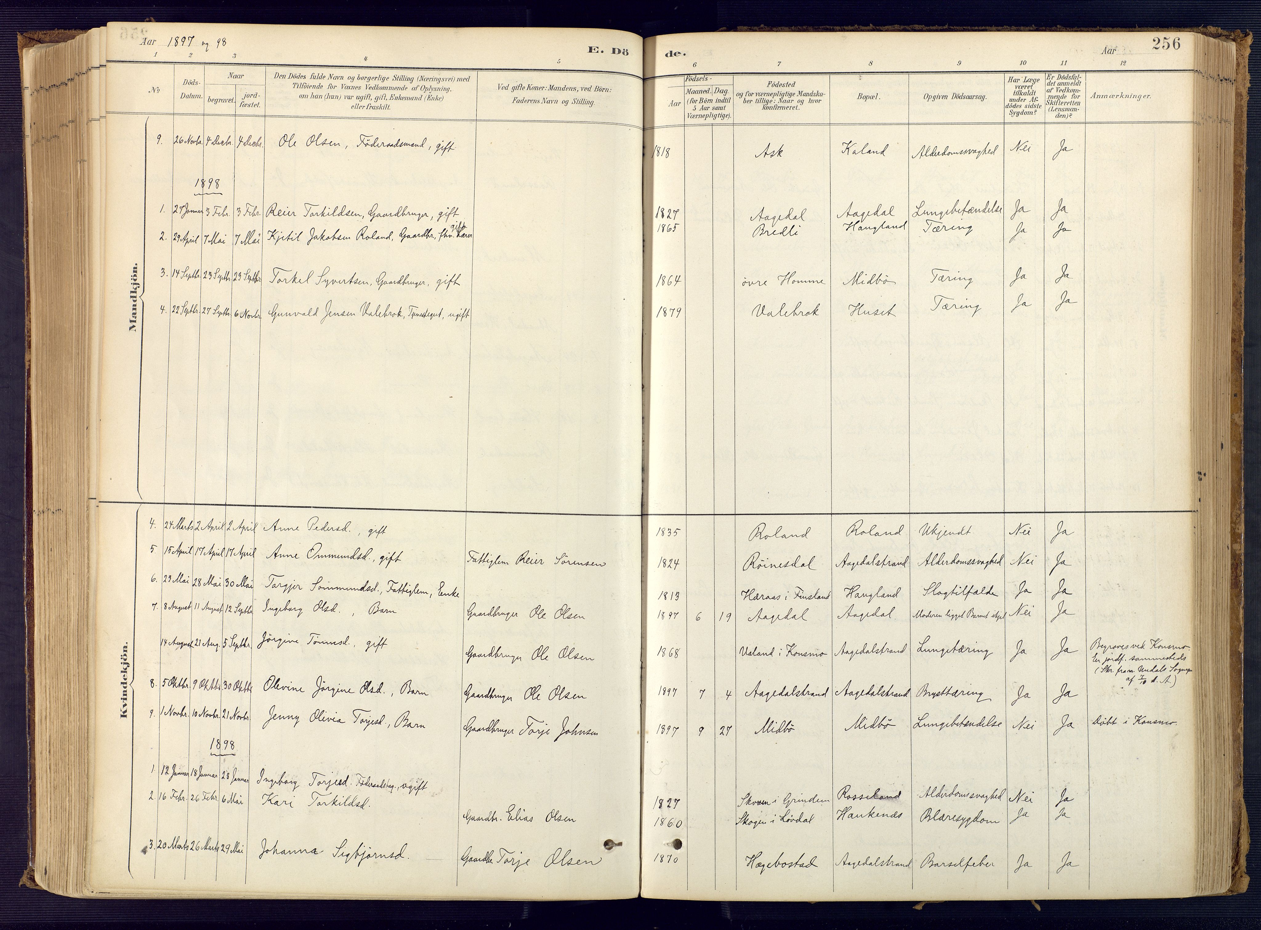 Bjelland sokneprestkontor, AV/SAK-1111-0005/F/Fa/Faa/L0004: Parish register (official) no. A 4, 1887-1923, p. 256