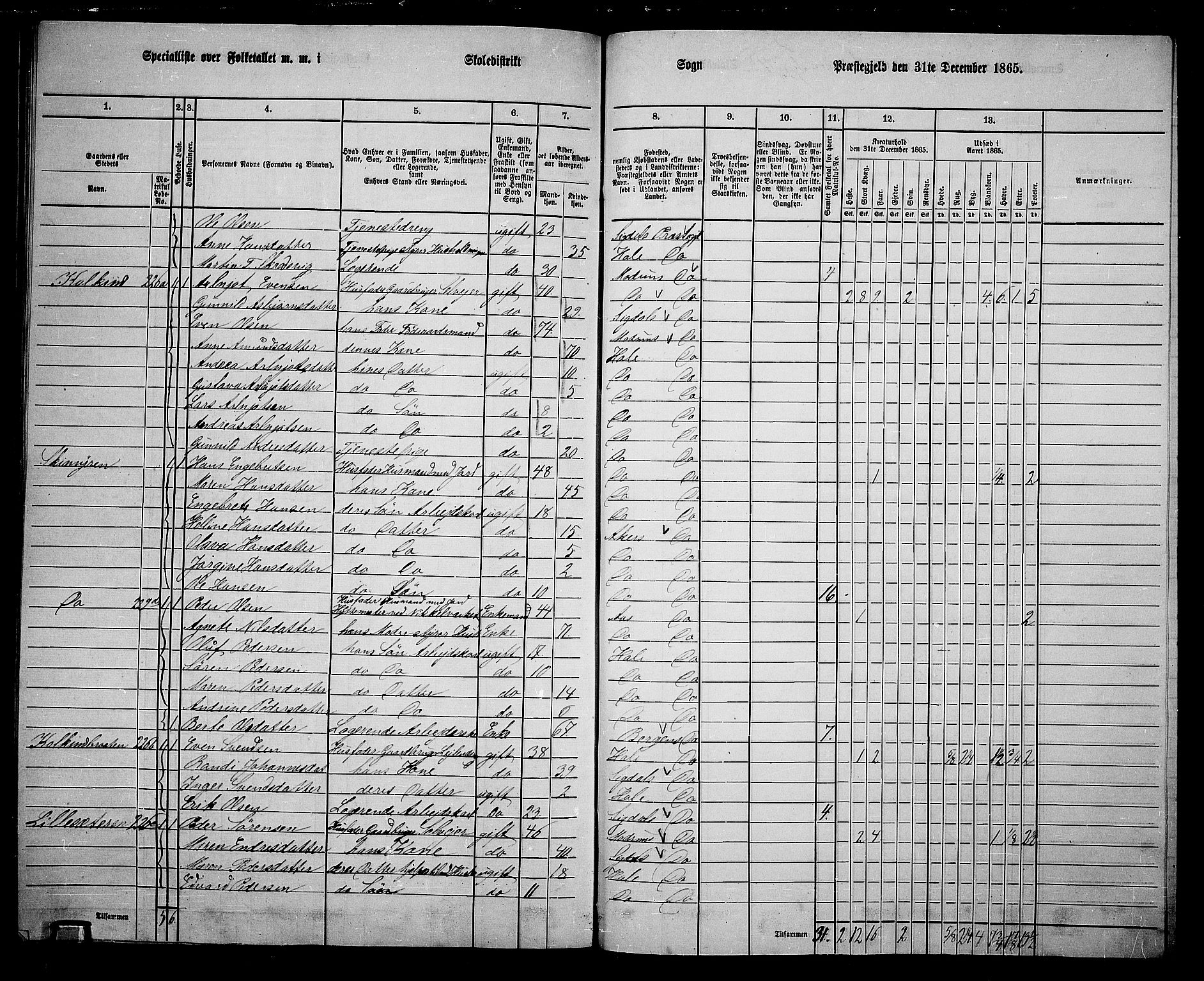 RA, 1865 census for Hole, 1865, p. 155