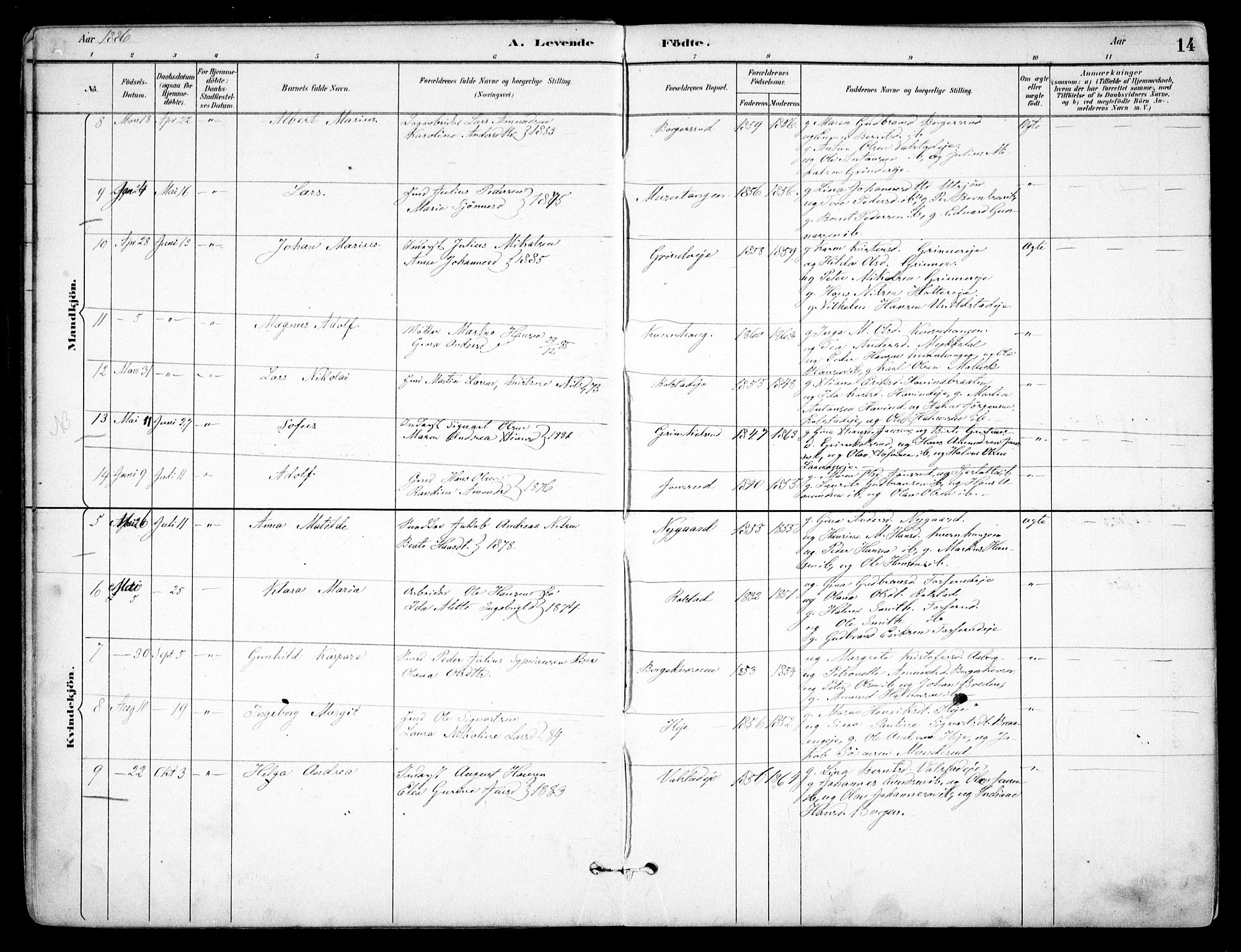 Nes prestekontor Kirkebøker, AV/SAO-A-10410/F/Fb/L0002: Parish register (official) no. II 2, 1883-1918, p. 14