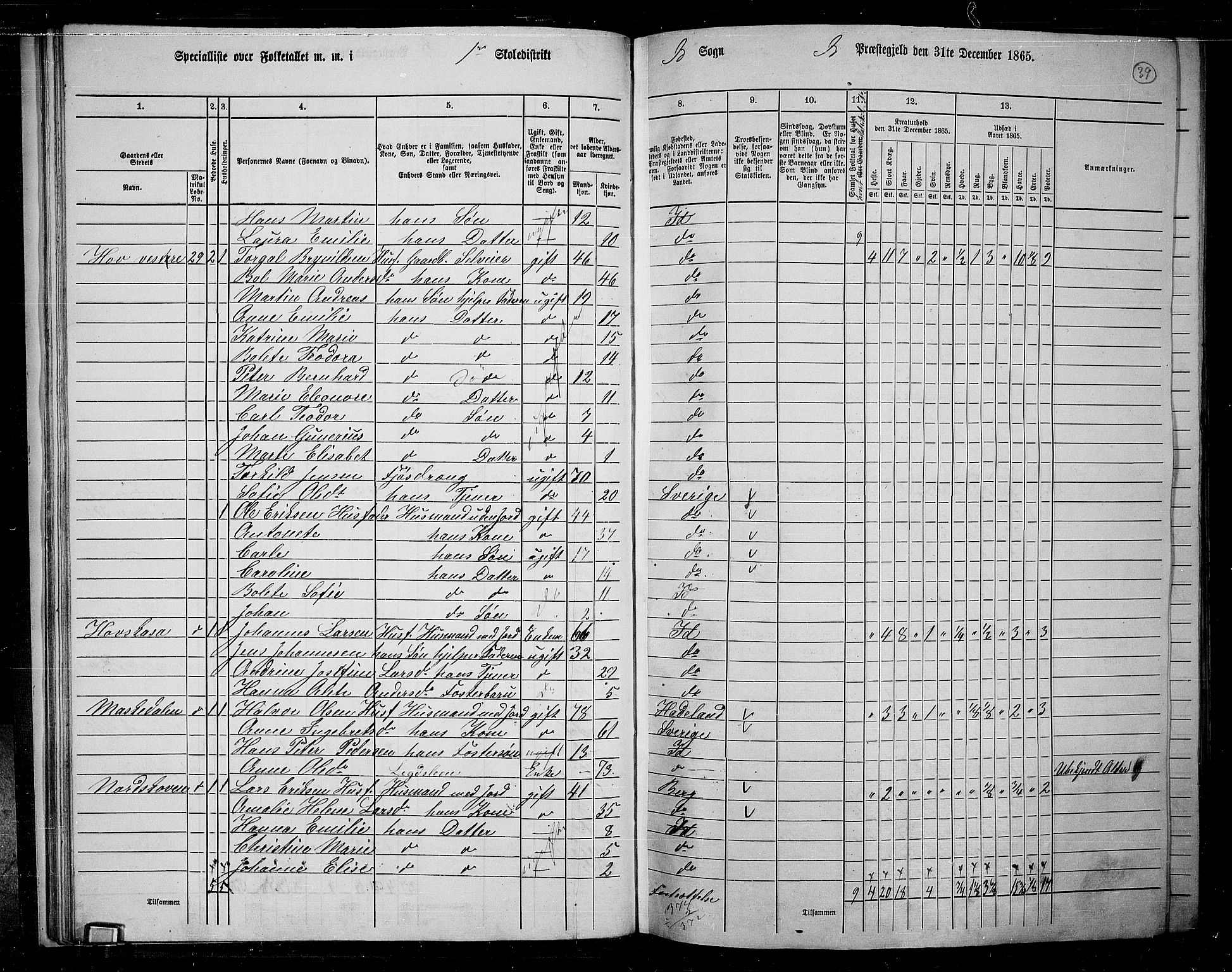 RA, 1865 census for Idd, 1865, p. 37