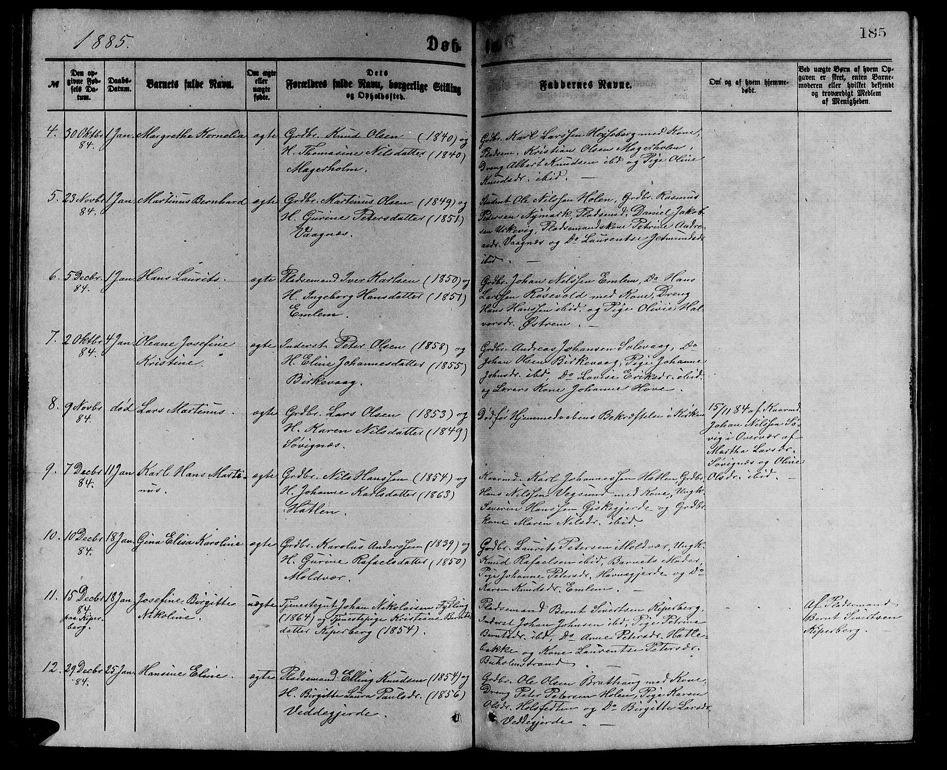 Ministerialprotokoller, klokkerbøker og fødselsregistre - Møre og Romsdal, AV/SAT-A-1454/528/L0429: Parish register (copy) no. 528C10, 1872-1886, p. 185