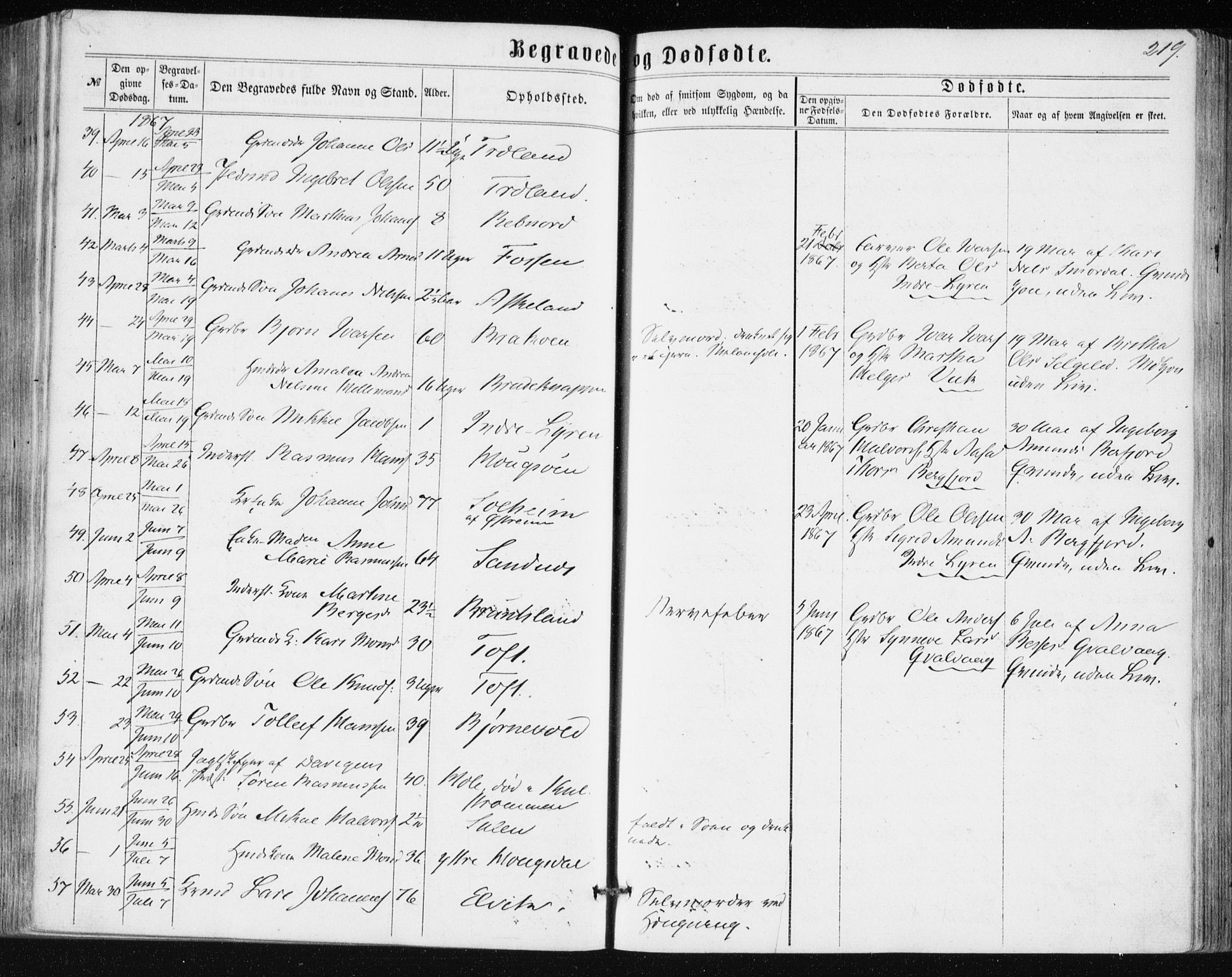 Lindås Sokneprestembete, SAB/A-76701/H/Haa: Parish register (official) no. A 16, 1863-1875, p. 219