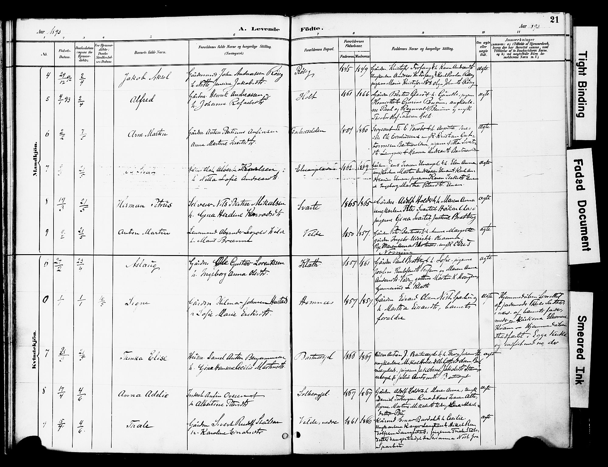Ministerialprotokoller, klokkerbøker og fødselsregistre - Nord-Trøndelag, SAT/A-1458/741/L0396: Parish register (official) no. 741A10, 1889-1901, p. 21