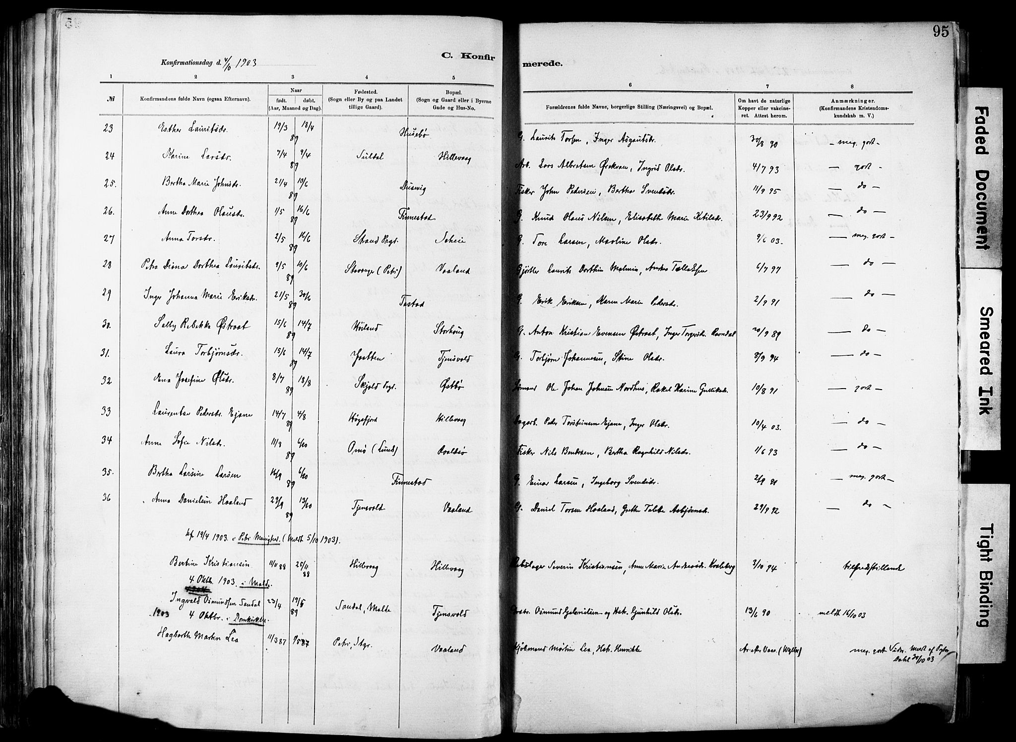 Hetland sokneprestkontor, SAST/A-101826/30/30BA/L0012: Parish register (official) no. A 12, 1882-1912, p. 95