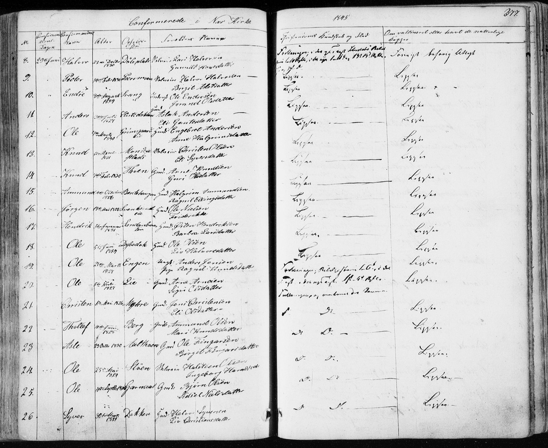 Nes kirkebøker, AV/SAKO-A-236/F/Fa/L0009: Parish register (official) no. 9, 1834-1863, p. 377