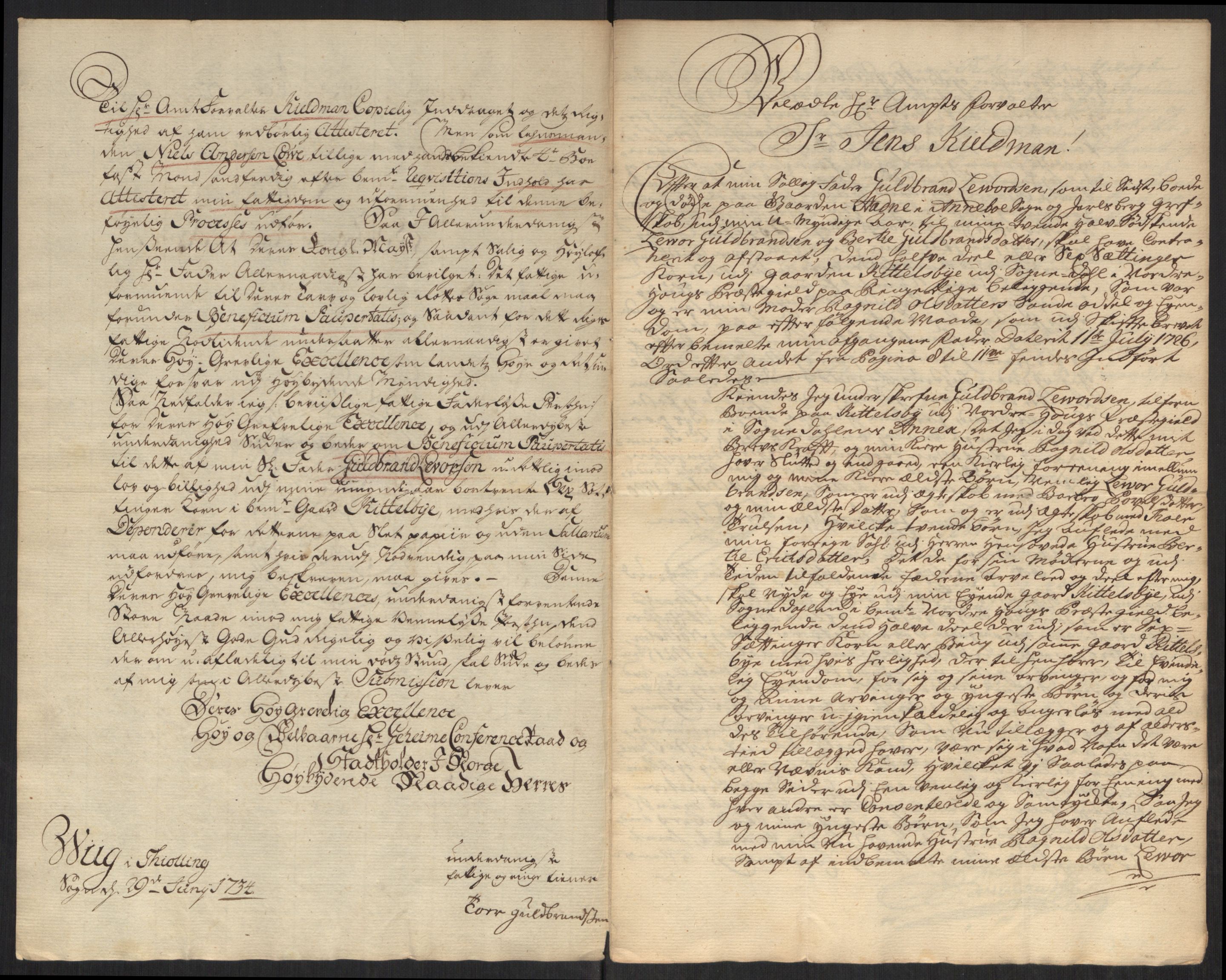 Stattholderembetet 1572-1771, AV/RA-EA-2870/Ef/L0107: Brev fra embetsmenn og andre, 1733-1734, p. 318