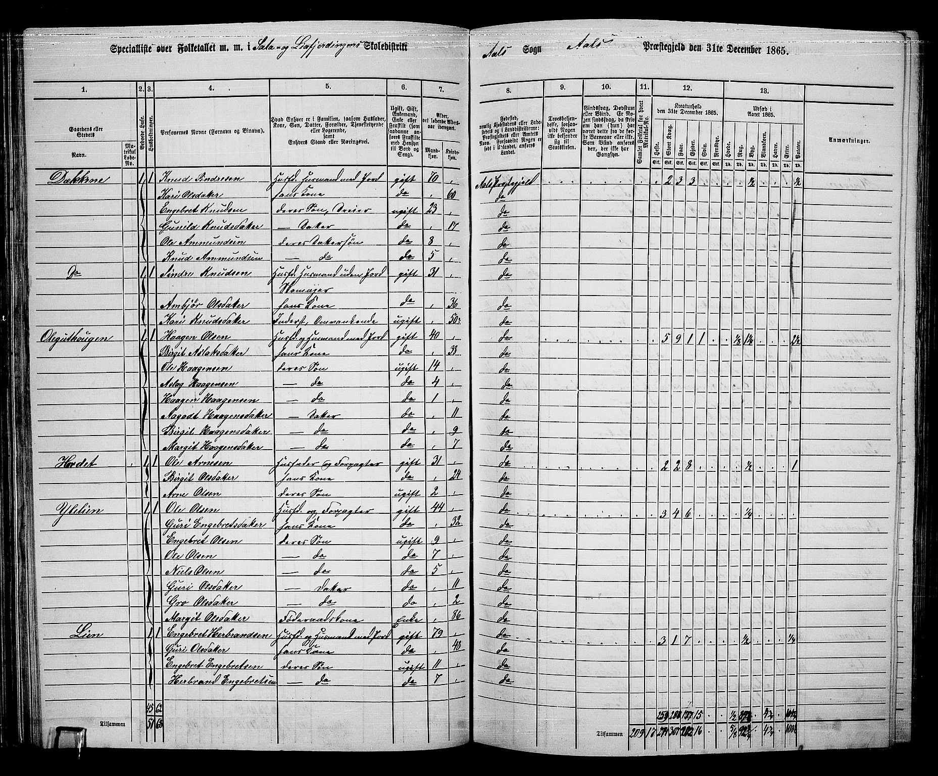 RA, 1865 census for Ål, 1865, p. 63