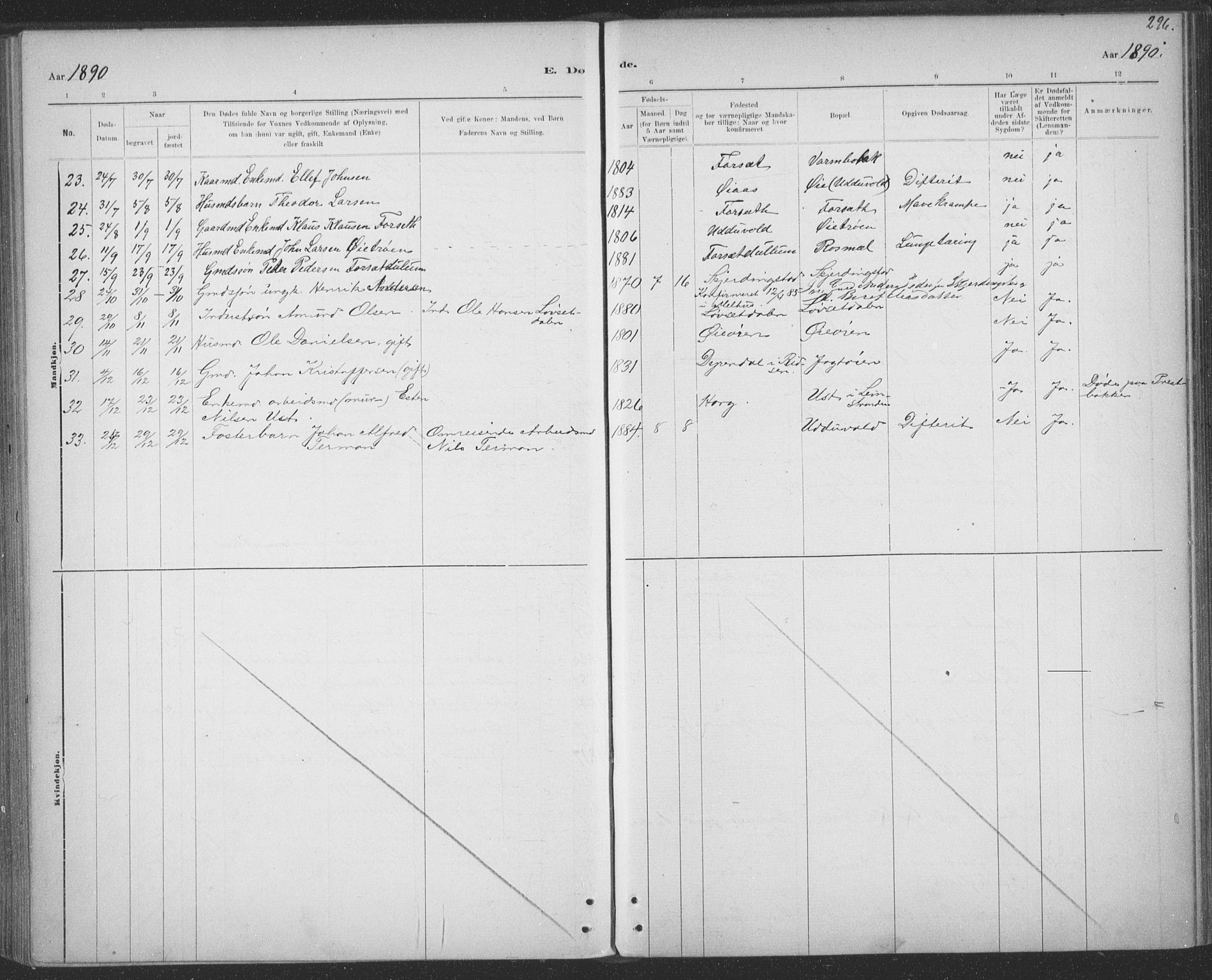 Ministerialprotokoller, klokkerbøker og fødselsregistre - Sør-Trøndelag, AV/SAT-A-1456/691/L1085: Parish register (official) no. 691A17, 1887-1908, p. 296