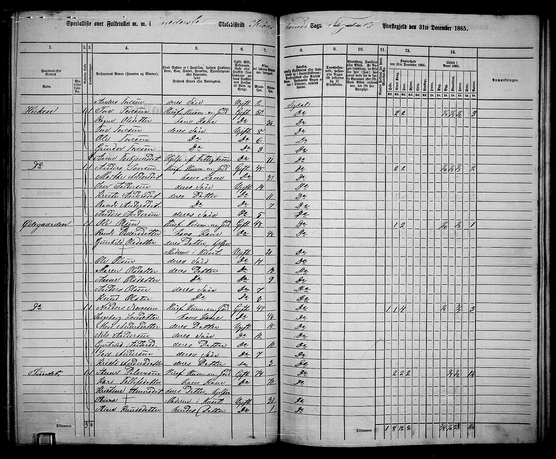 RA, 1865 census for Sigdal, 1865, p. 205